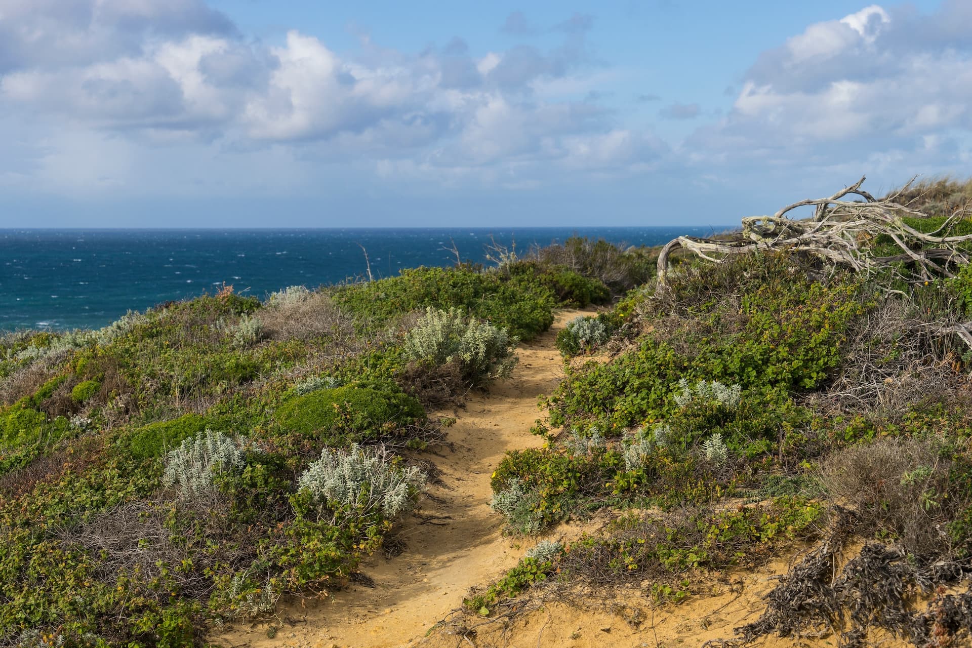 Hiking trail on scrubland slope overlooking the windy blue ocean under a cloudy sky in Algarve.
