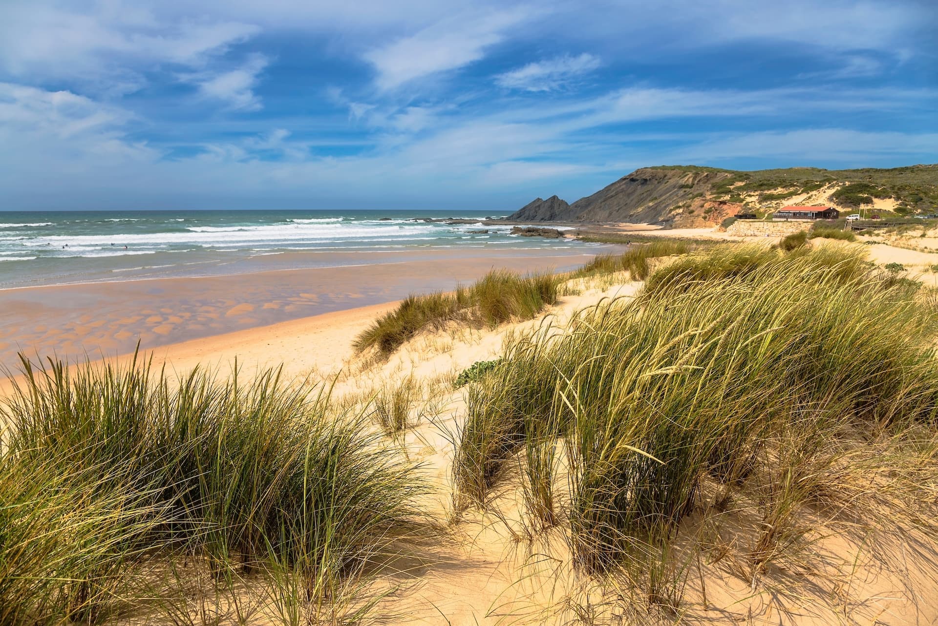Sandy beach with dune grass, waves, and cliffs in Vicentine Coast Natural Park.