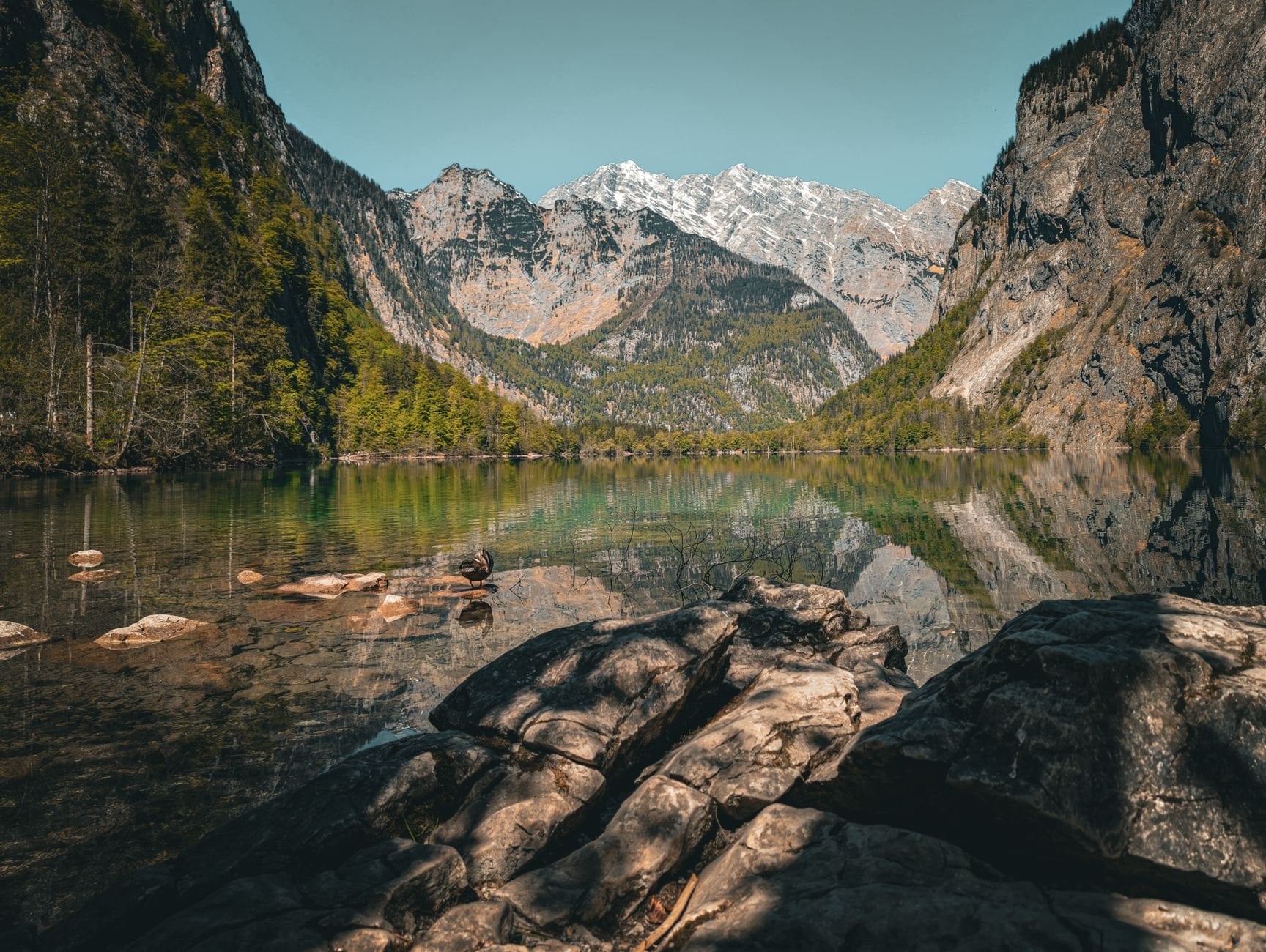 Cliffs of the Watzmann falling straight into the Königssee in Berchtesgaden