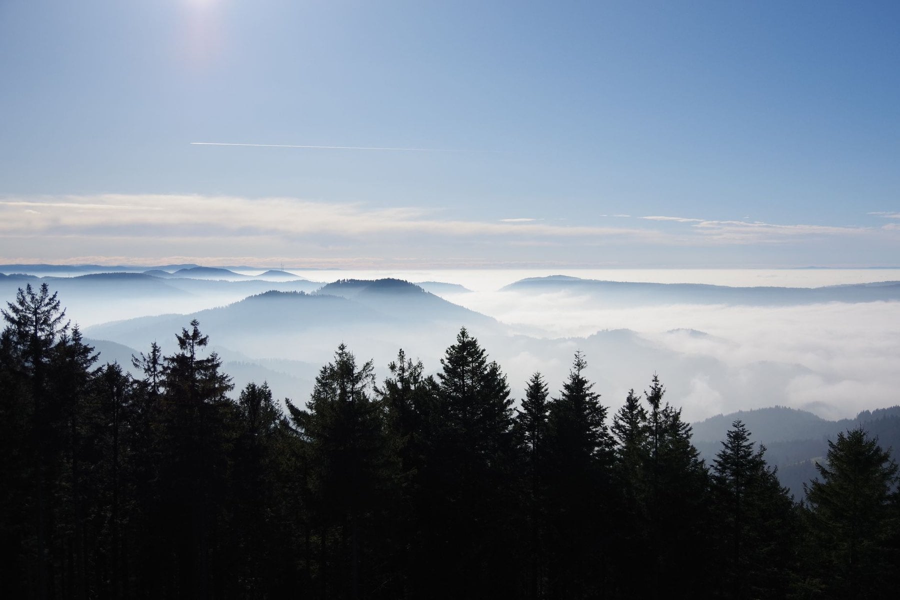 Spruce ridges of the Black Forest rising above a sea of cloud