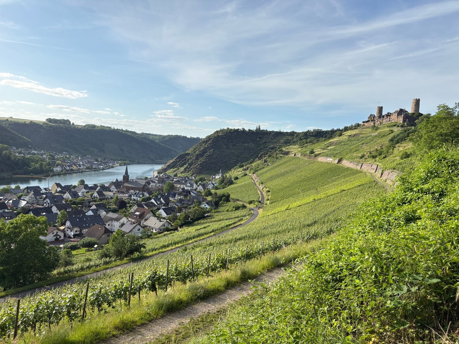 Vineyard slopes above a bend of the Rhine at Boppard