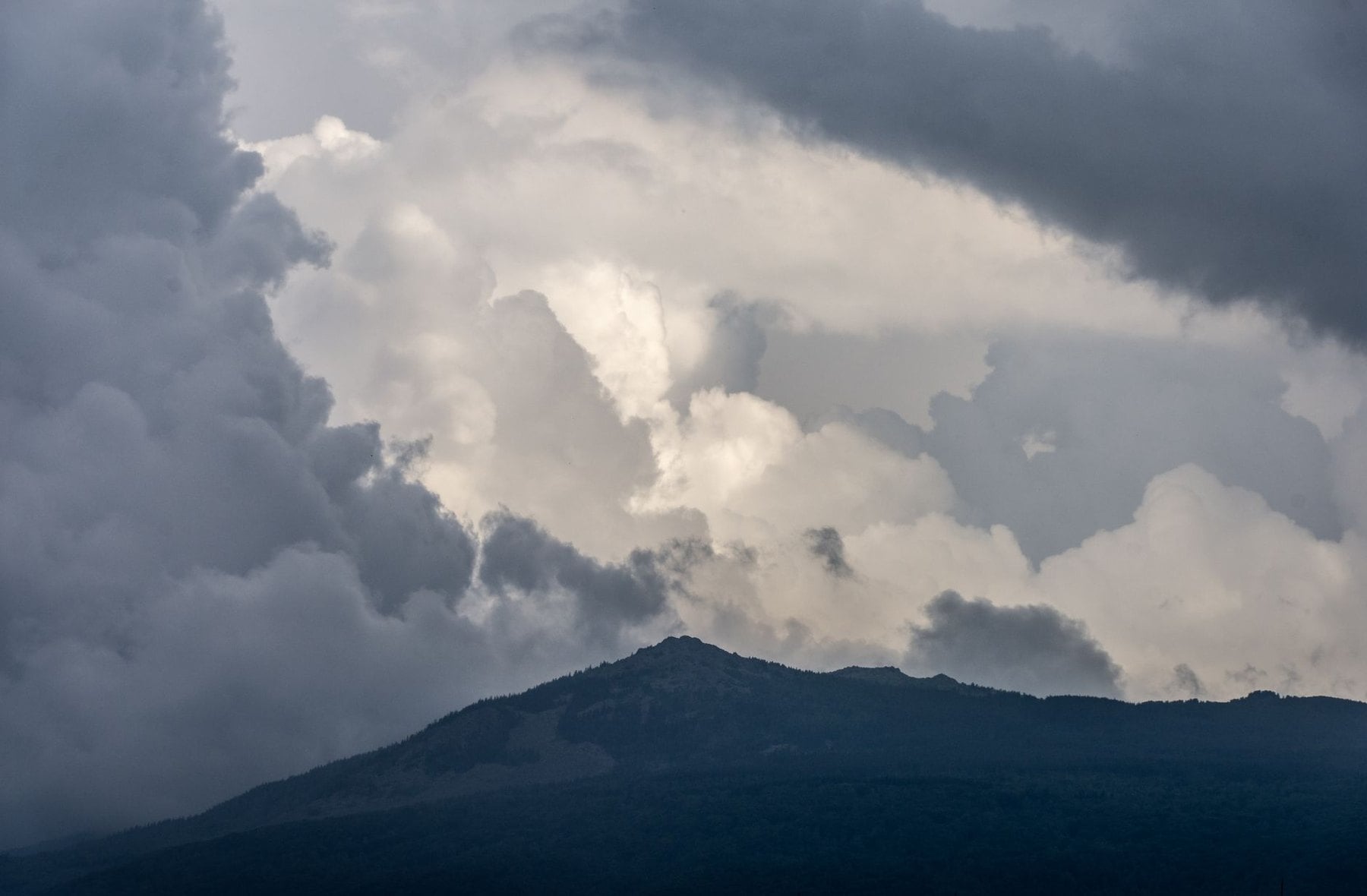 Cumulus towers building over a mountain ridge
