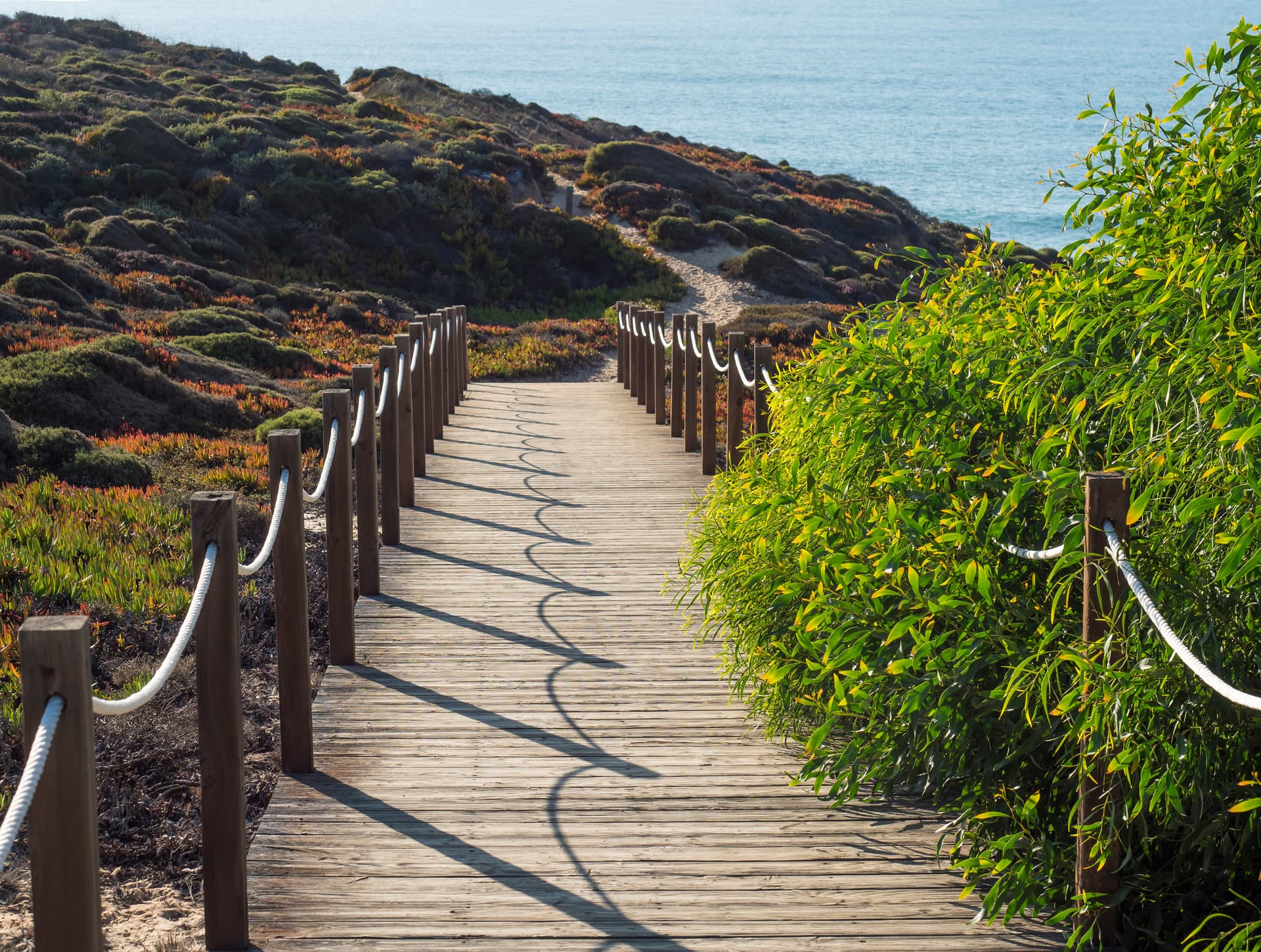 Wooden boardwalk leading to the coast near Zambujeira do Mar with lush vegetation.