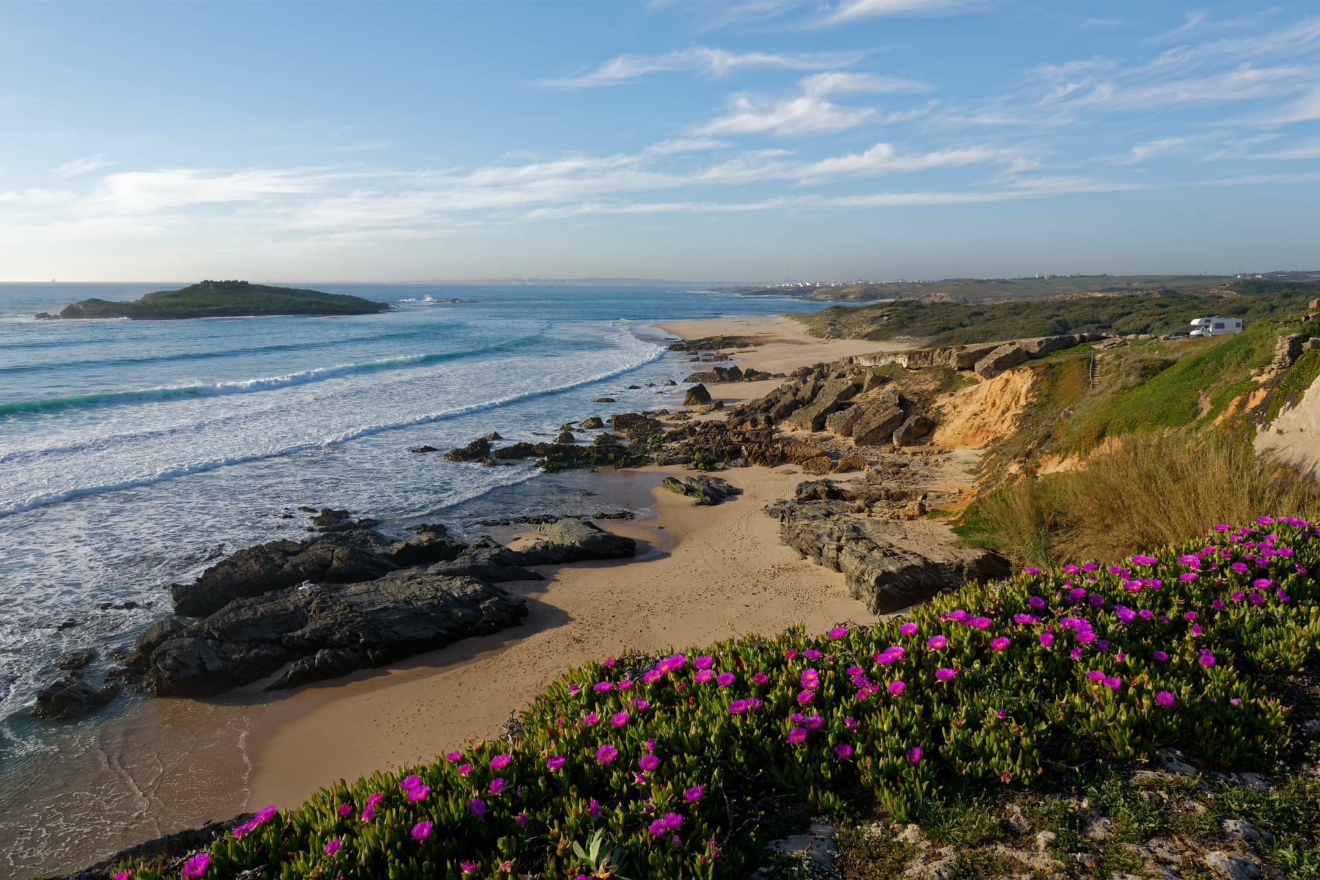 Beach at Ilha do Pessegueiro with waves, rocks, and pink flowers in Porto Covo, Portugal.