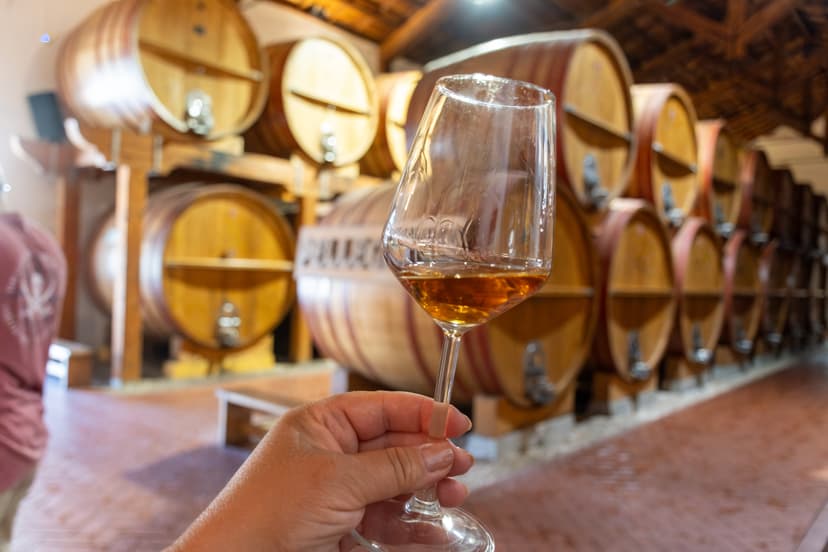 Glass of amber liquid held up in wine cellar with wooden barrels