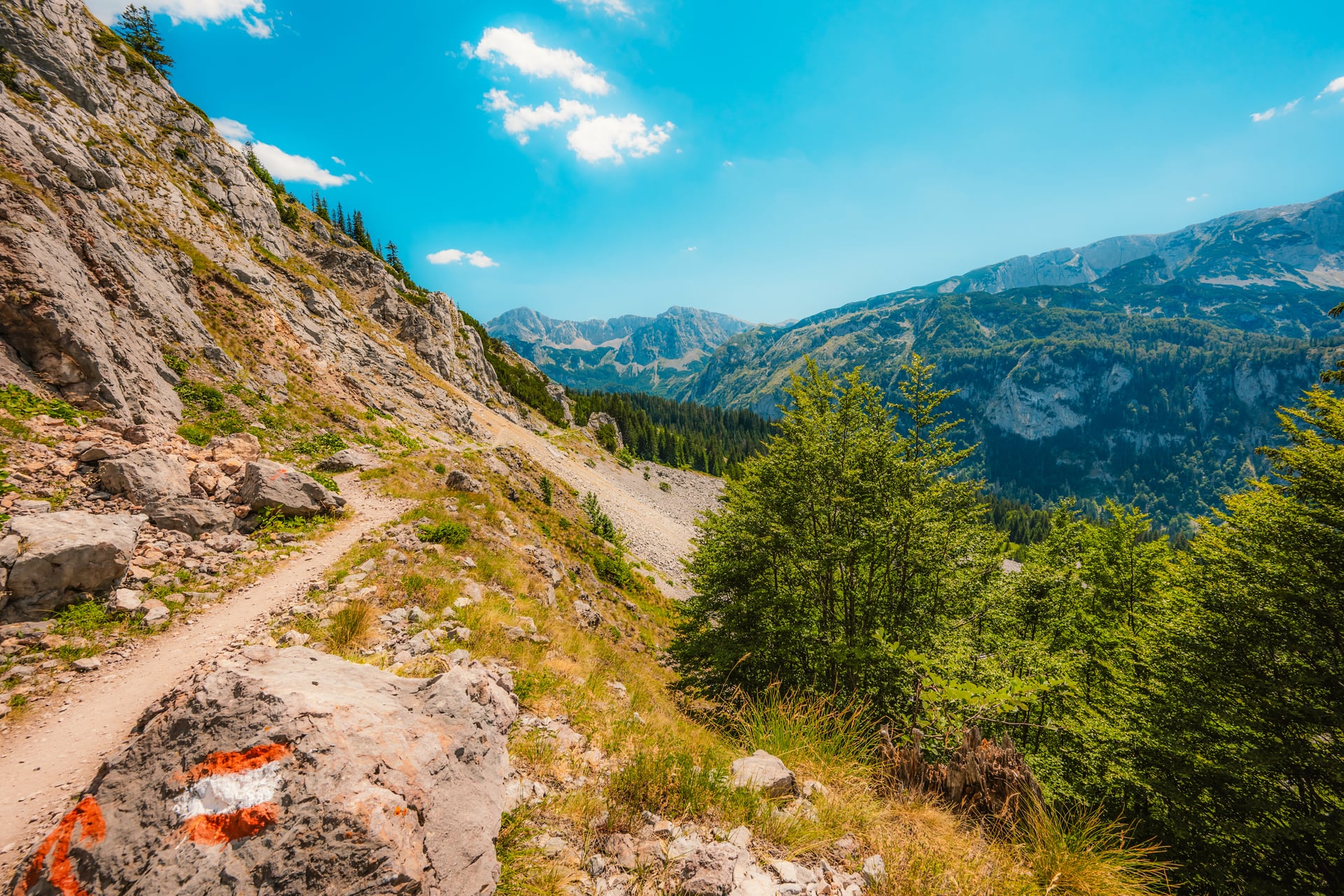 Hiking trail along a rocky mountain slope with forest and peaks under a blue sky