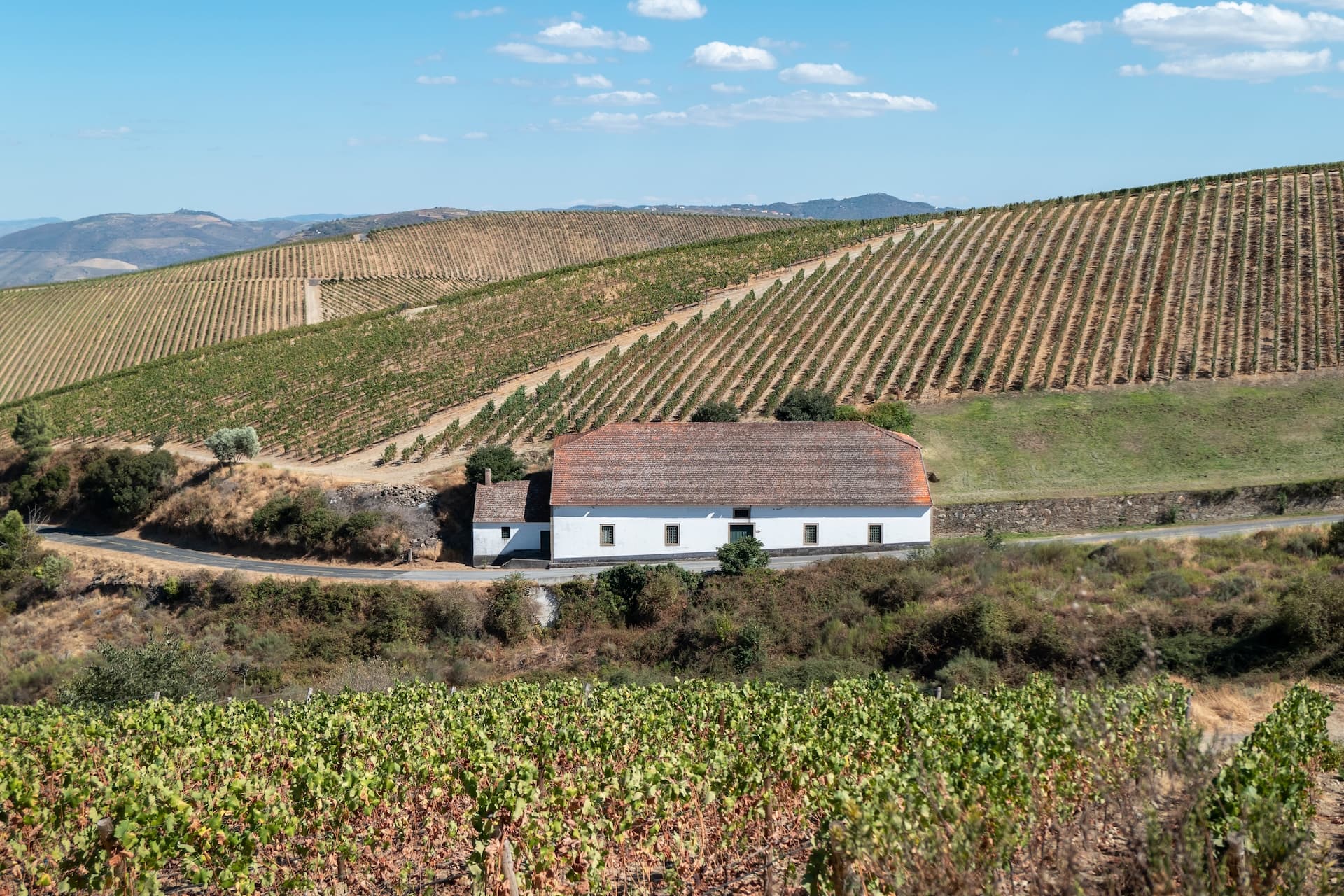 White farmhouse nestled among terraced vineyards and rolling hills under a blue sky.