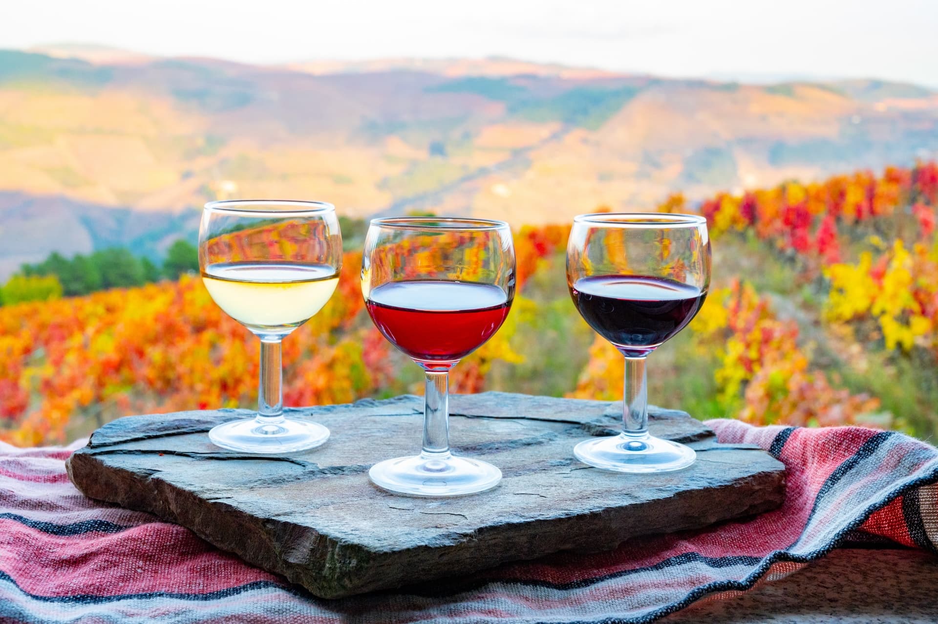 Wine tasting with white and red wines overlooking Douro Valley vineyards in autumn.