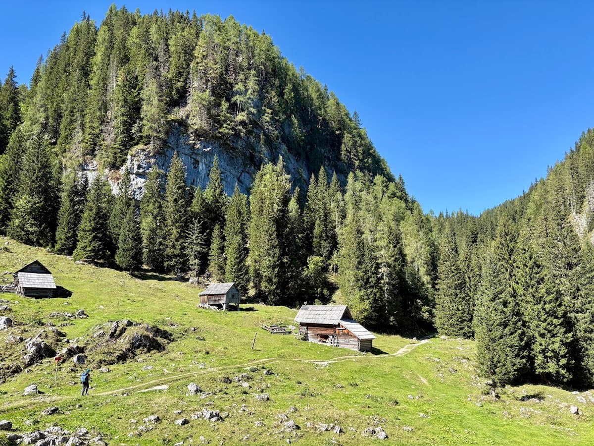 Wooden alpine cabins in green mountain valley with pine forest and clear blue sky