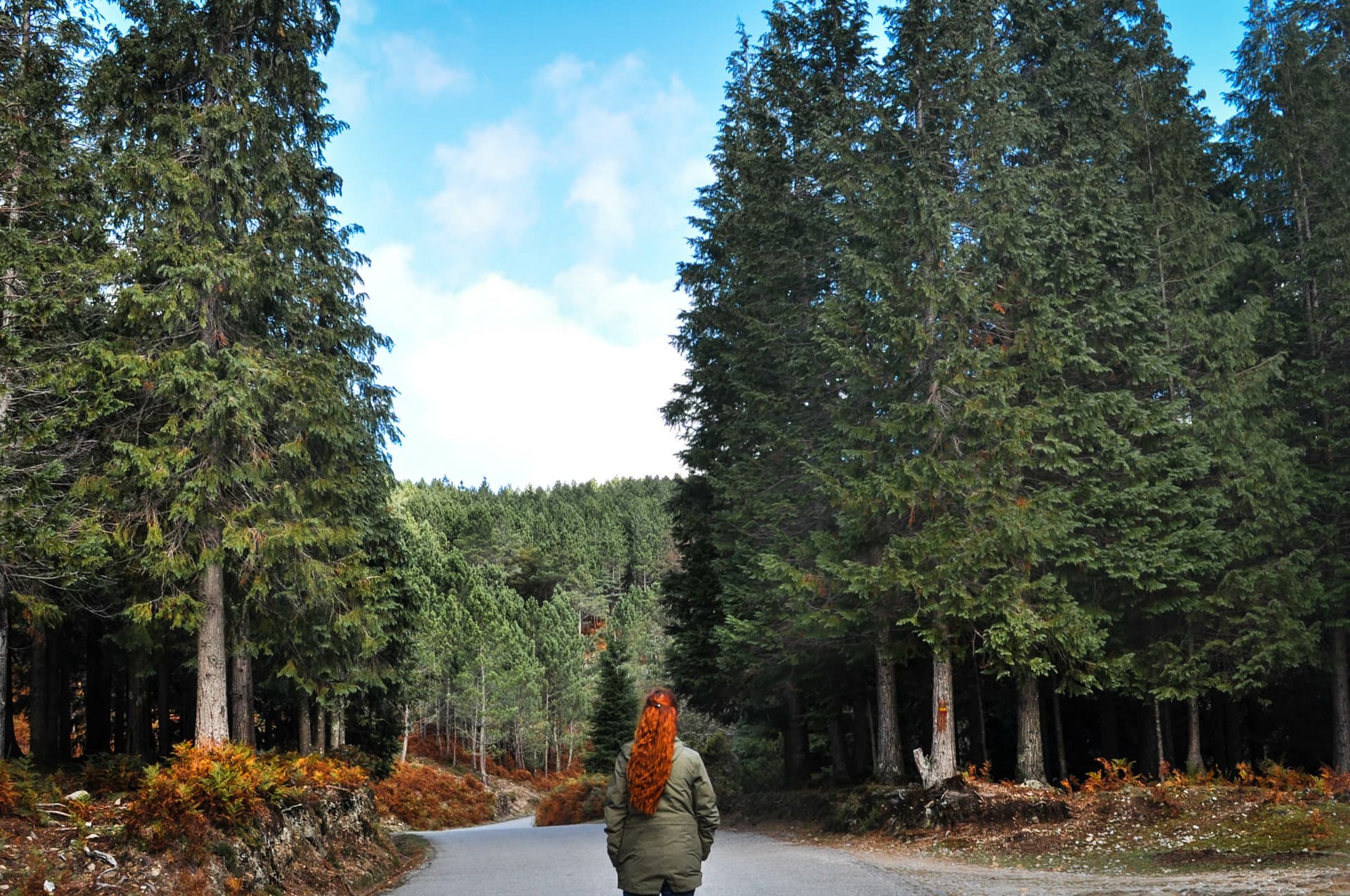 Woman with long red hair walking down a paved road into a dense forest in Geres, Northern Portugal.