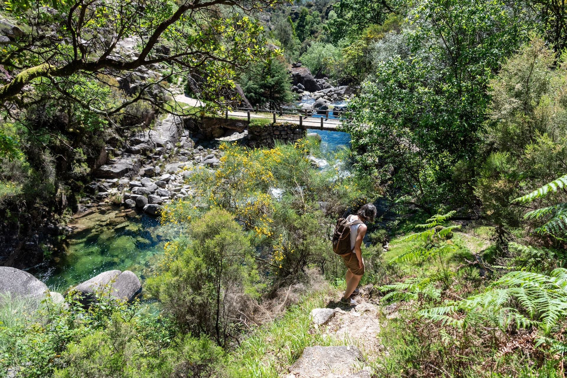 Hiker descending near clear river with stone bridge in Peneda-Geres National Park, Portugal.