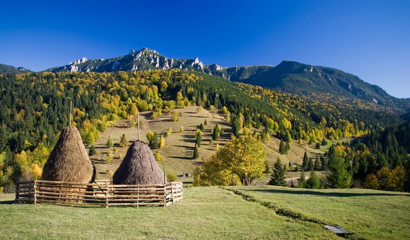 Haystacks in a fenced meadow with autumn forest and mountain peaks under a blue sky