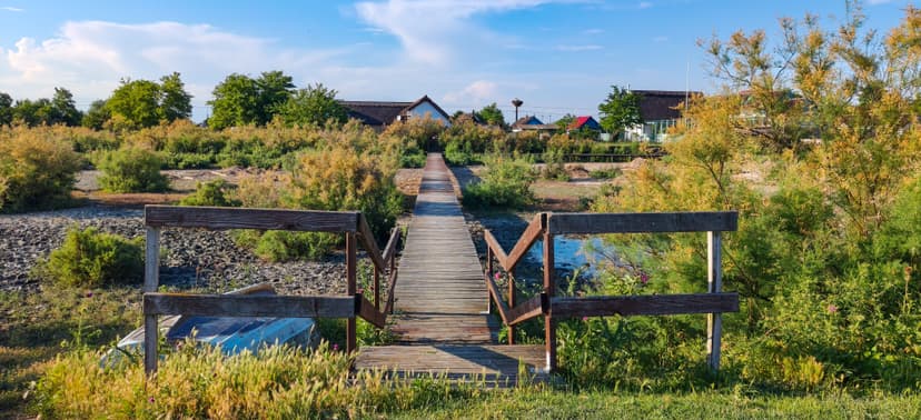 Wooden boardwalk leading through marshland with shrubs and distant houses under a blue sky