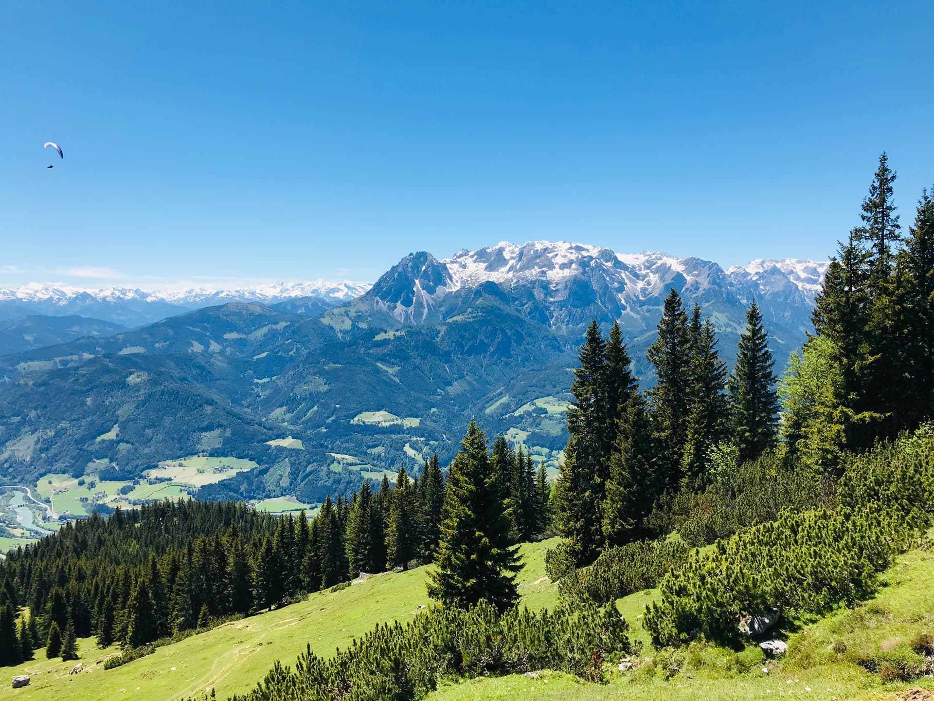 Paraglider flying over green alpine meadows with snow-capped Tennengebirge mountains in background