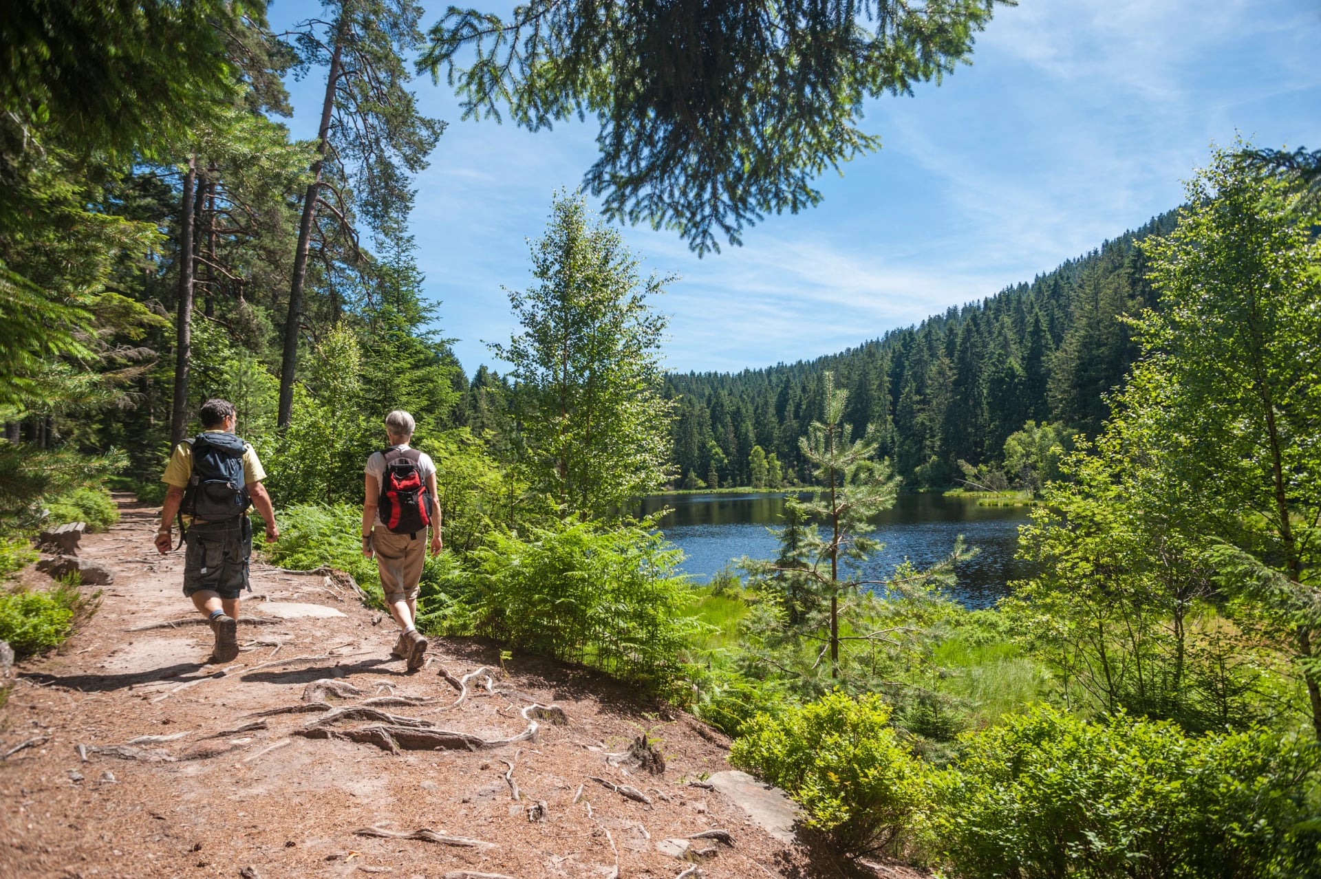 Reput selässä ja juuret jalkojen alla Westwegillä kesäkuumalla