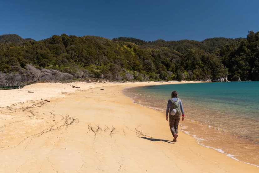 Adult woman walking along the deserted, sandy beach at Anchorage Bay, Able Tasman National Park, New Zealand, on a sunny day.