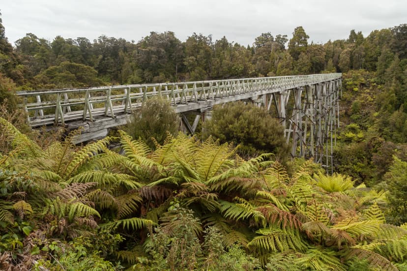 The disused Percy Burn Viaduct on the Waitutu Track on the south coast of the South island of New Zealand. Fern trees in the foreground.
