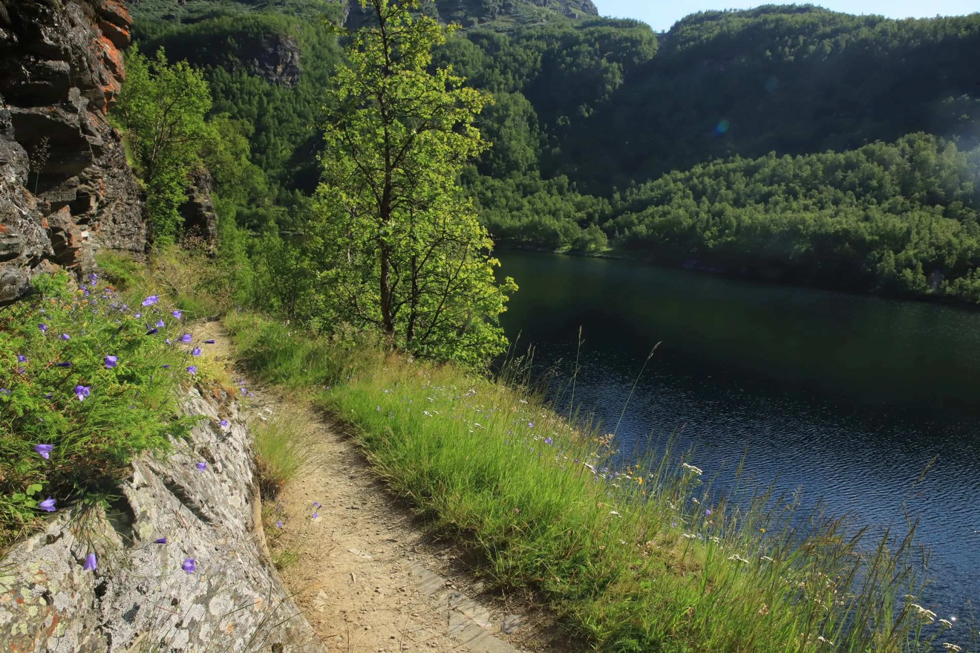 Hiking path beside a steep drop to dark water, surrounded by green mountains in Aurlandsdalen.