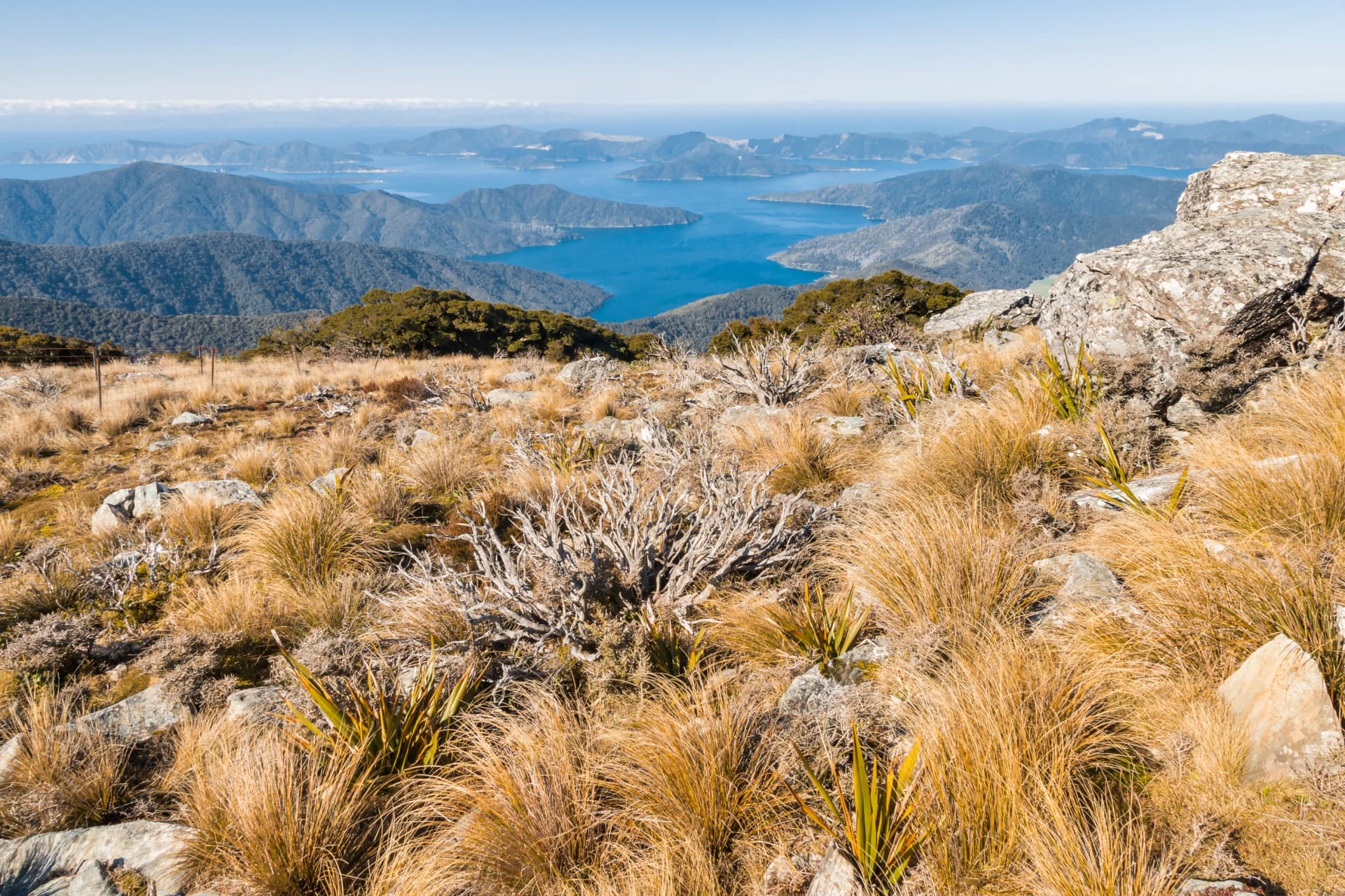 view of Marlborough Sounds from Mount Stokes summit, South Island, New Zealand