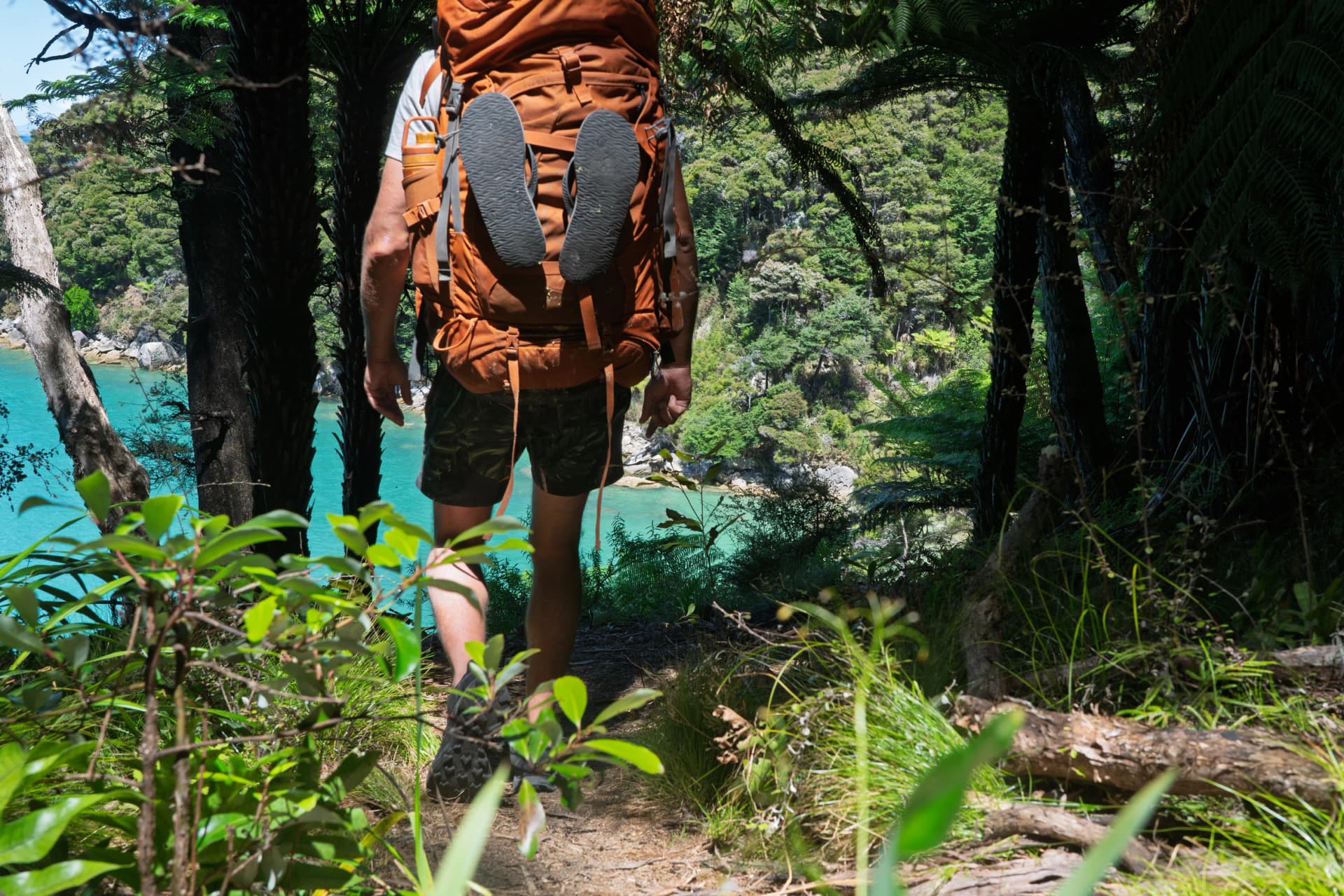 Hiker with backpack and flip flops on coastal forest trail, Abel Tasman, NZ