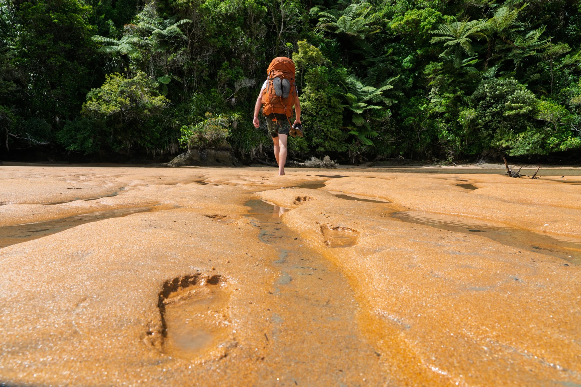 Barefoot hiker leaving footprints on wet sand, Abel Tasman, NZ