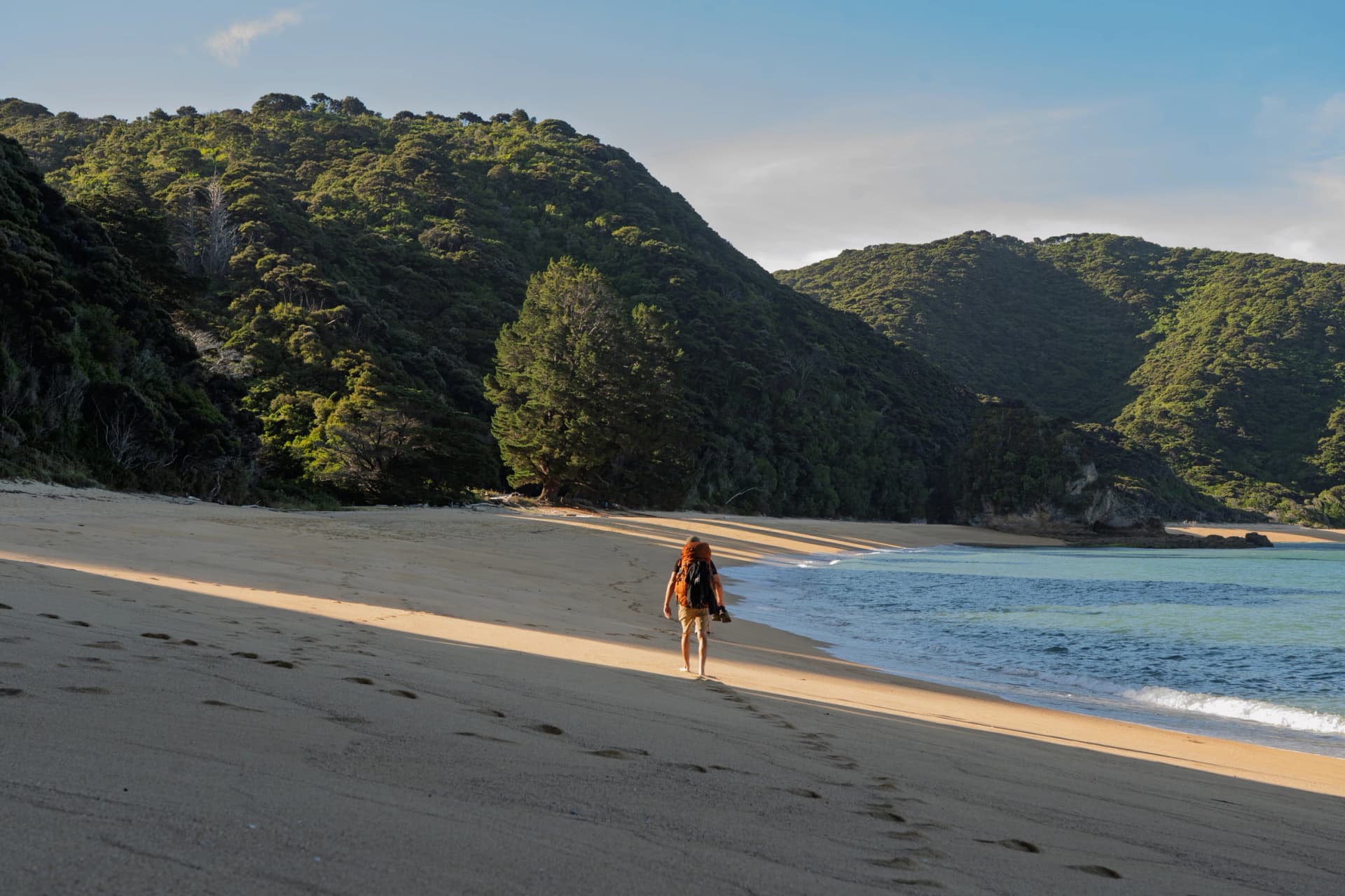 Barefoot hiker walking on golden sand beach at sunset, Abel Tasman, NZ