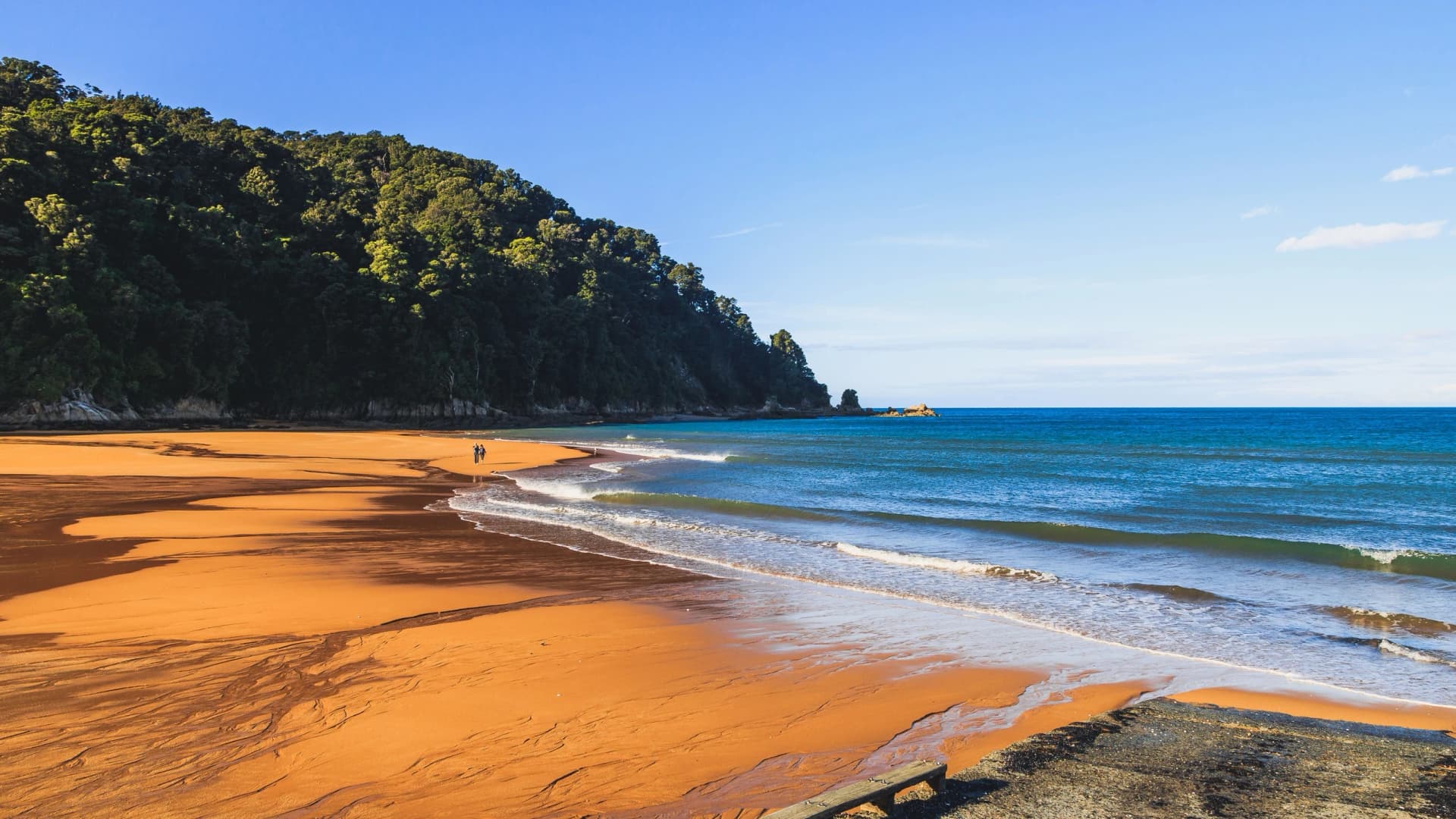 Beautiful beach at the Abel Tasman National Park, New Zealand
