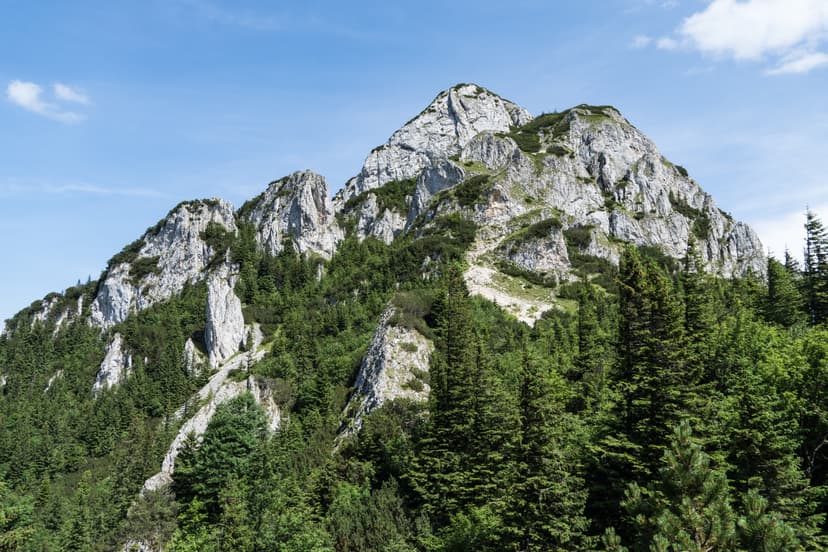 Rocky mountain peaks with pine forest and blue sky
