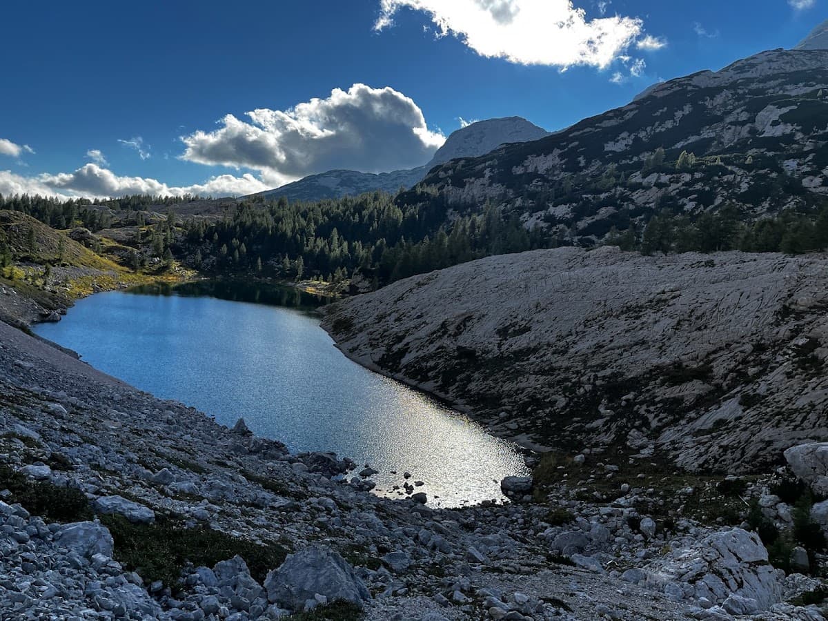 Alpine mountain lake surrounded by rocky terrain and pine forest under a blue sky