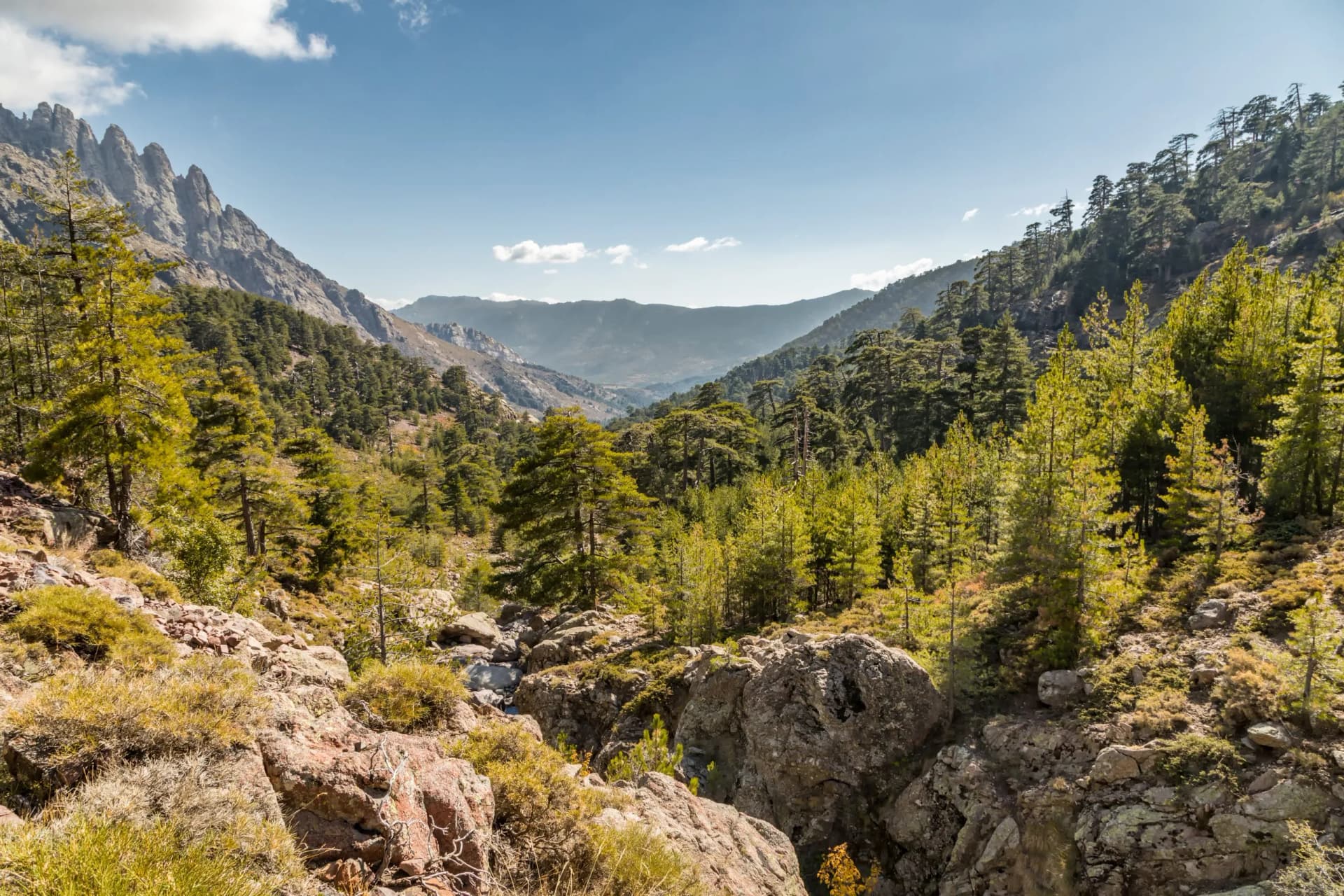 Rocks, pine trees and mountains in central Corsica