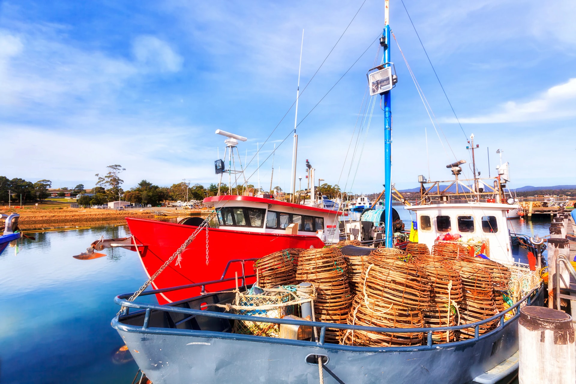 Fishing boats at the Spring Bay wharf, Triabunna