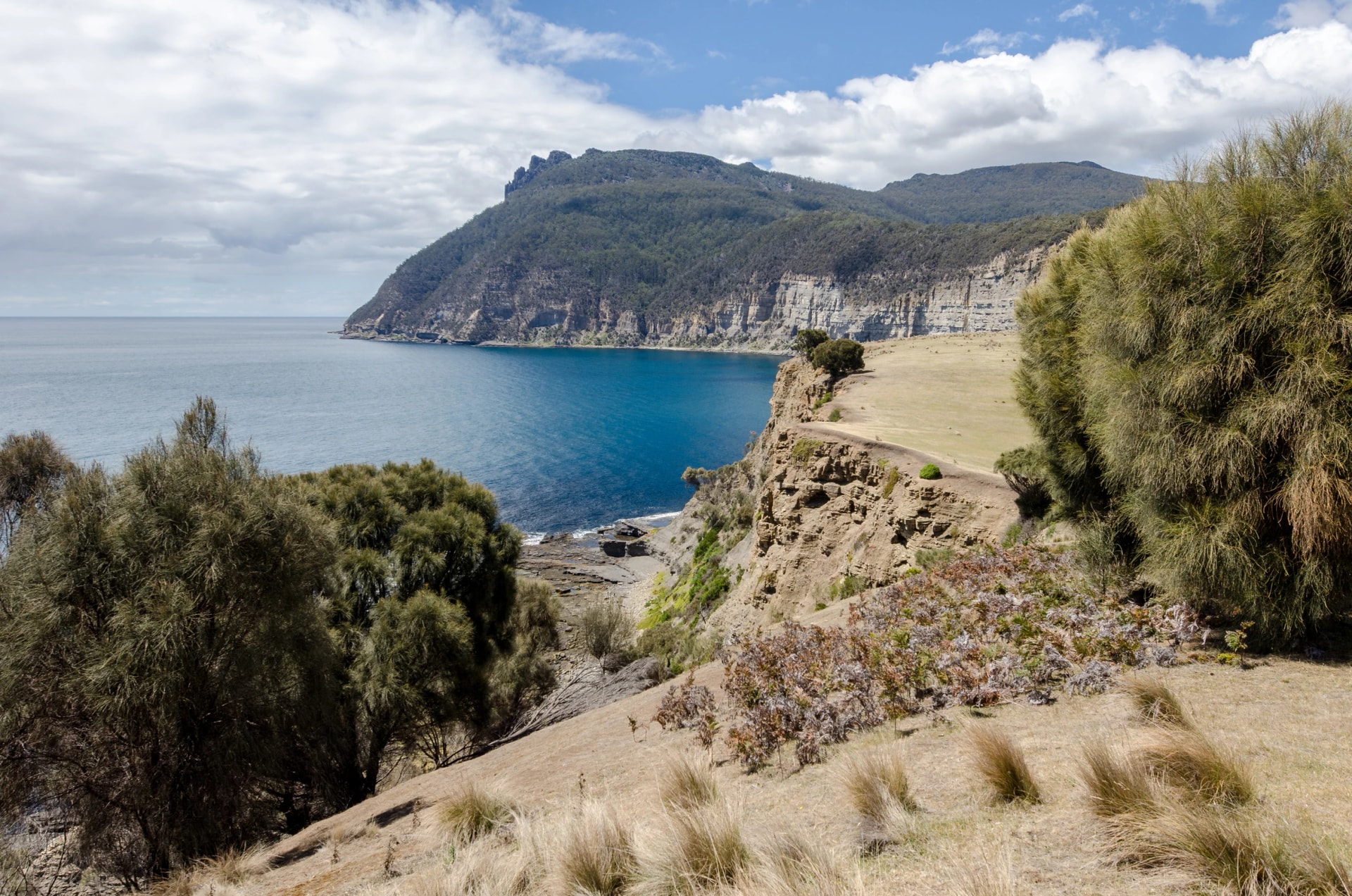 Fossil Cliffs on Maria Island