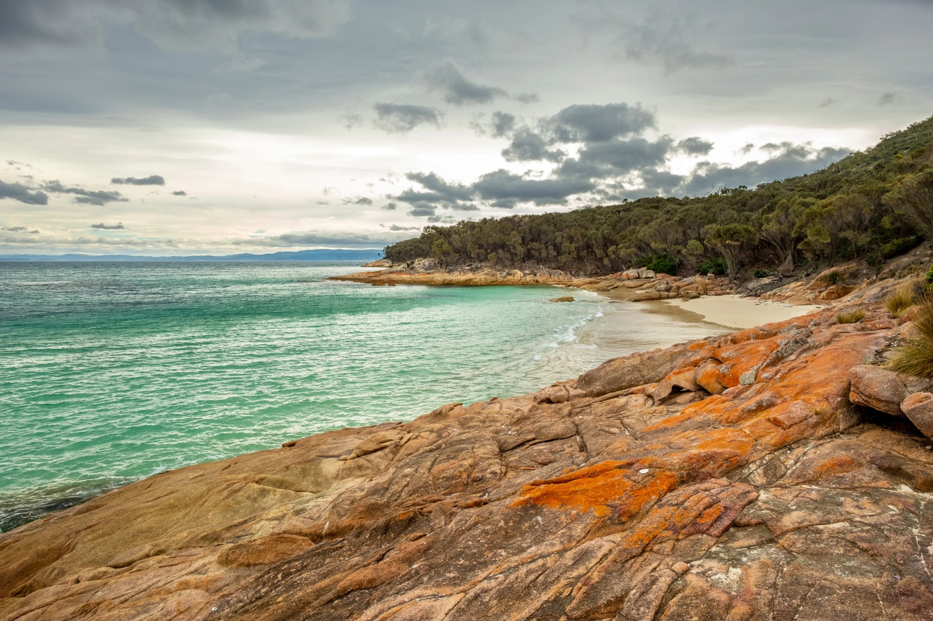 On the Wineglass Bay circuit track