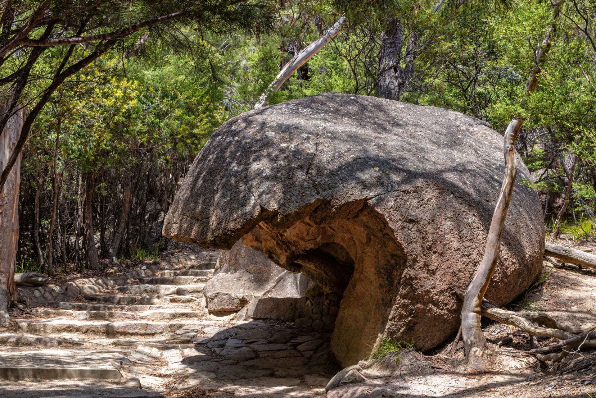 Stone steps on a Freycinet walking track
