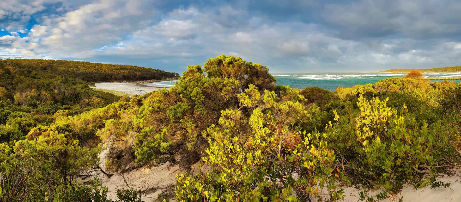 Dunes and bush at Humbug Point