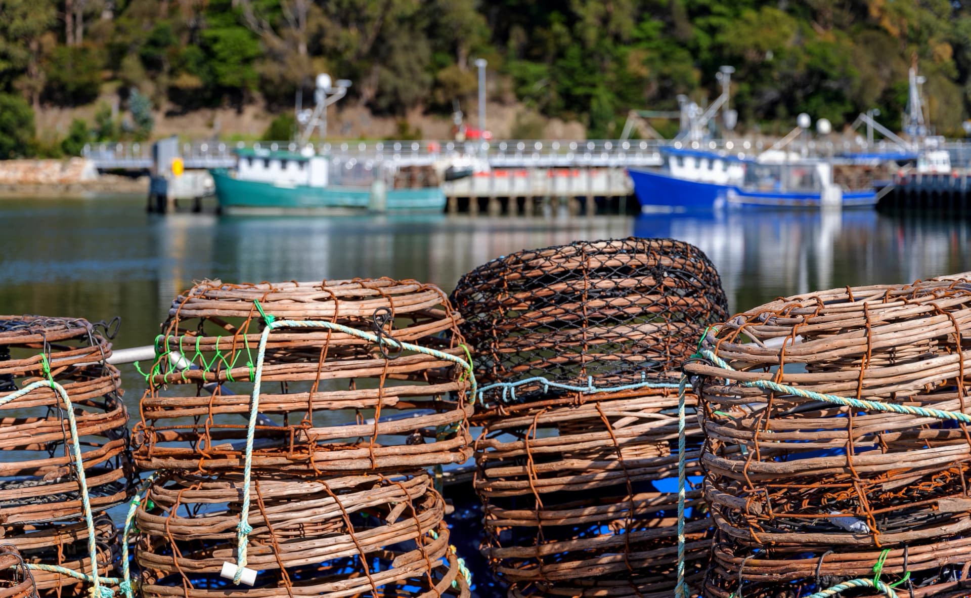 Lobster pots on the St Helens marina