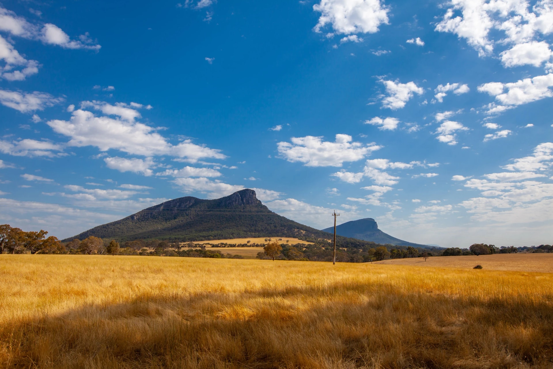 Mount Abrupt across the paddocks