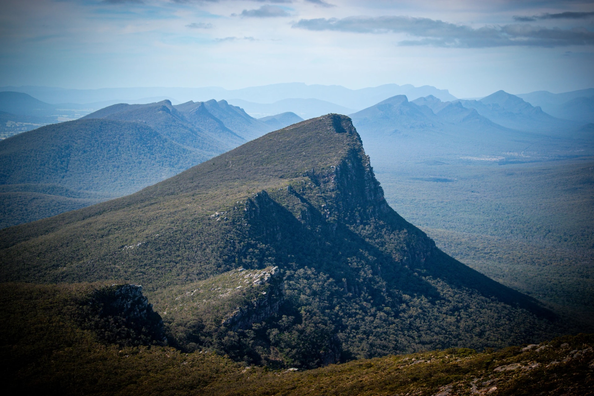 Ridges seen from the Mount Abrupt track