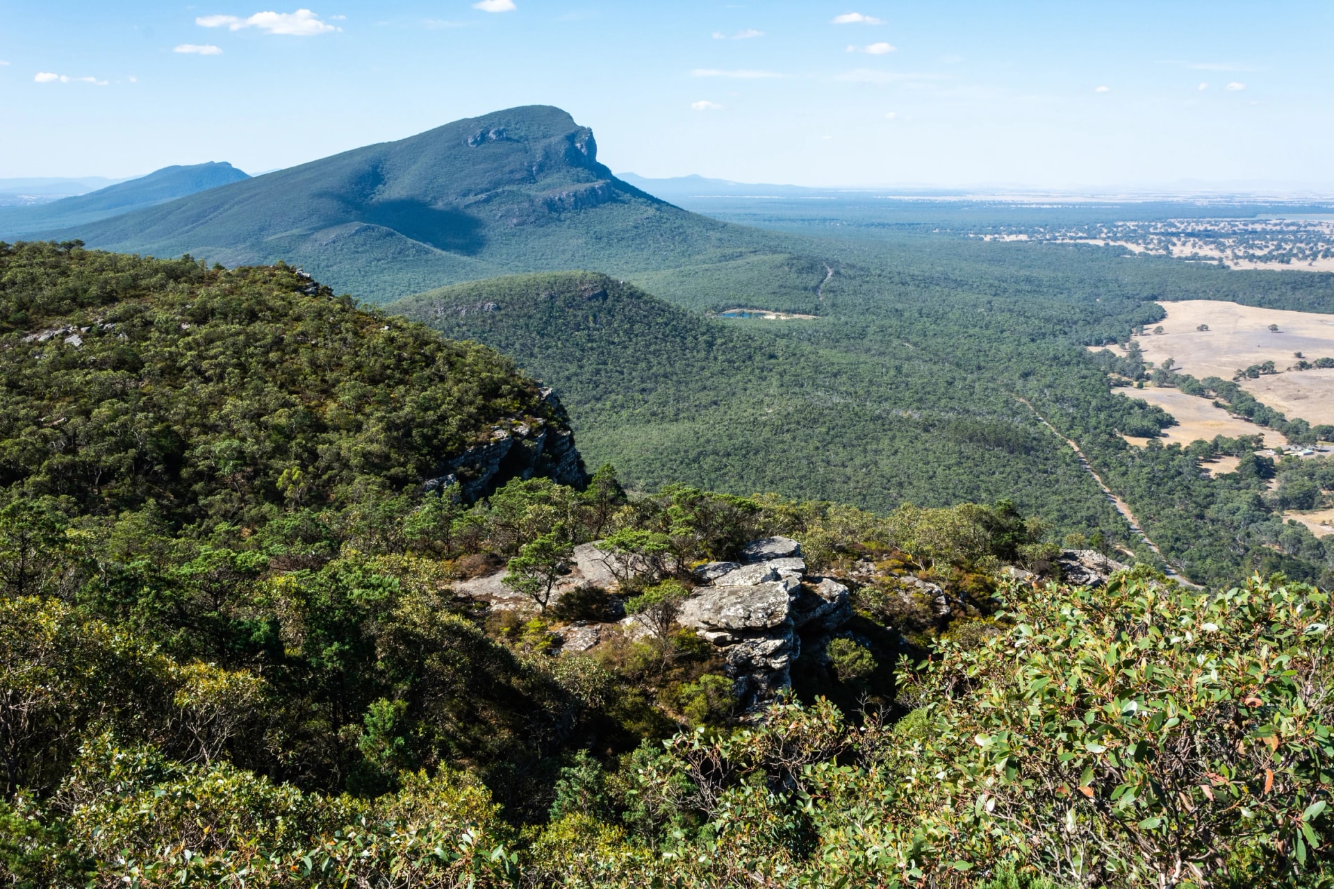 Mount Abrupt above the forest