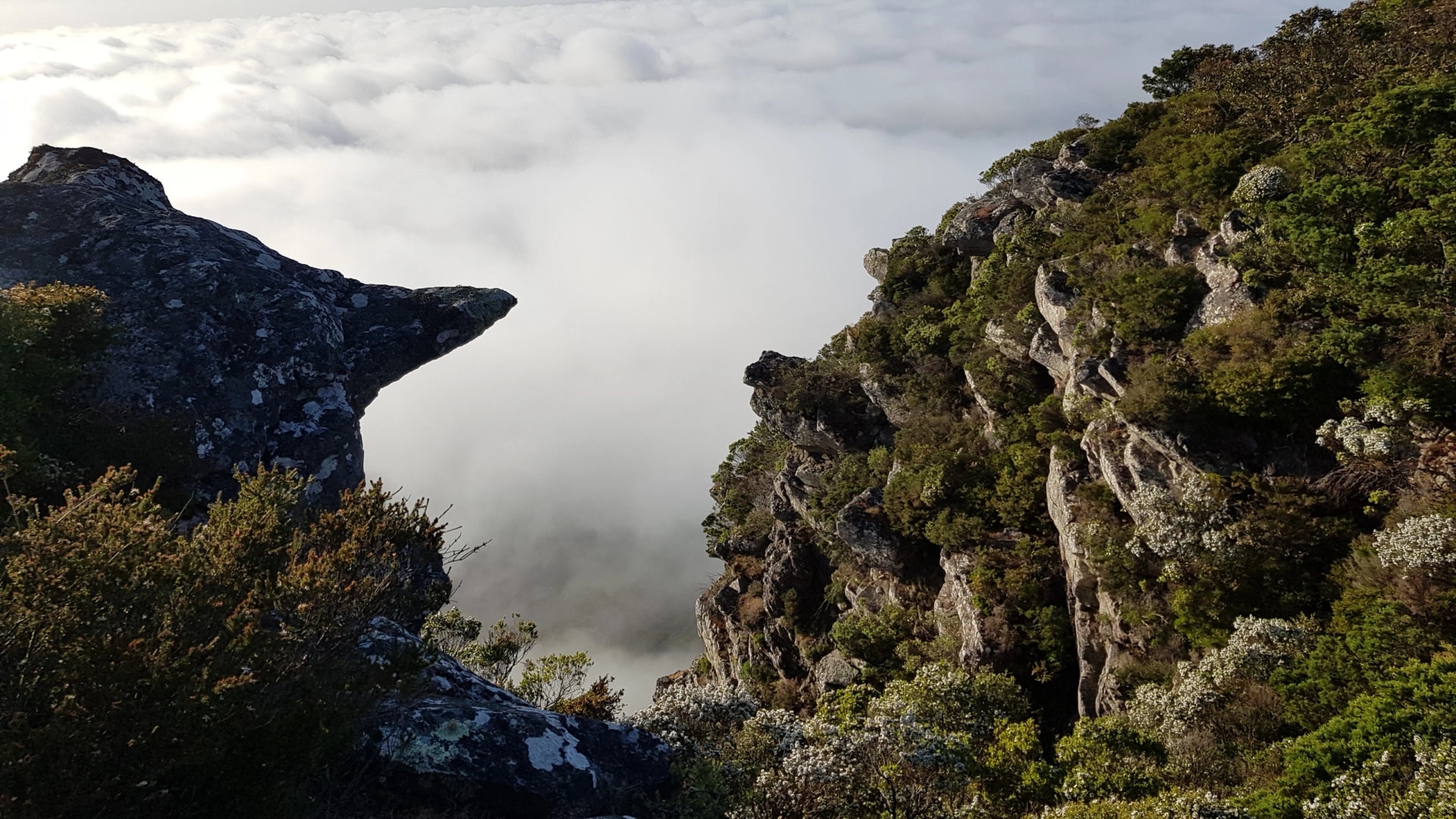Cloud below the cliffs of Mount Sturgeon