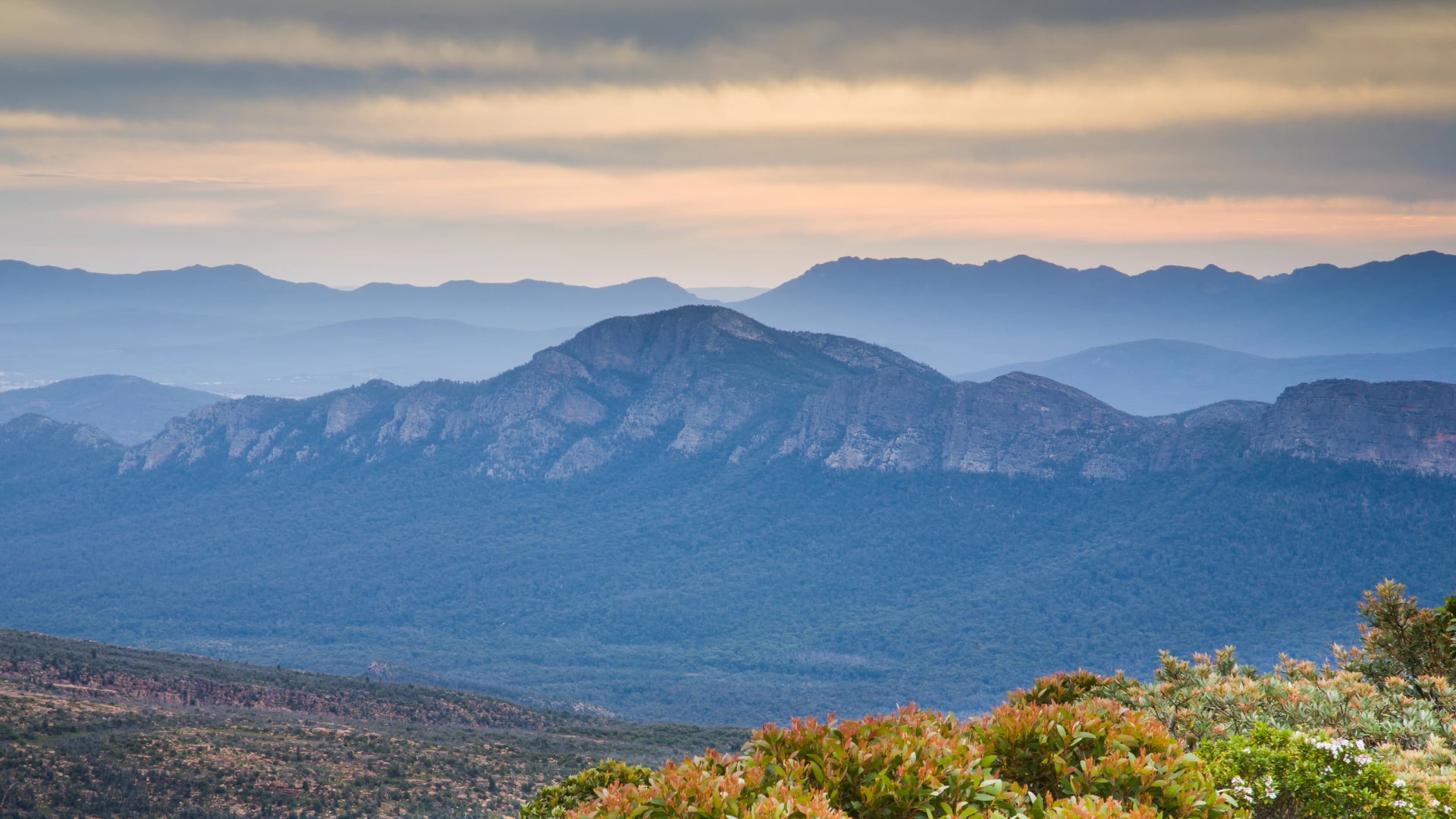 The Mount William Range
