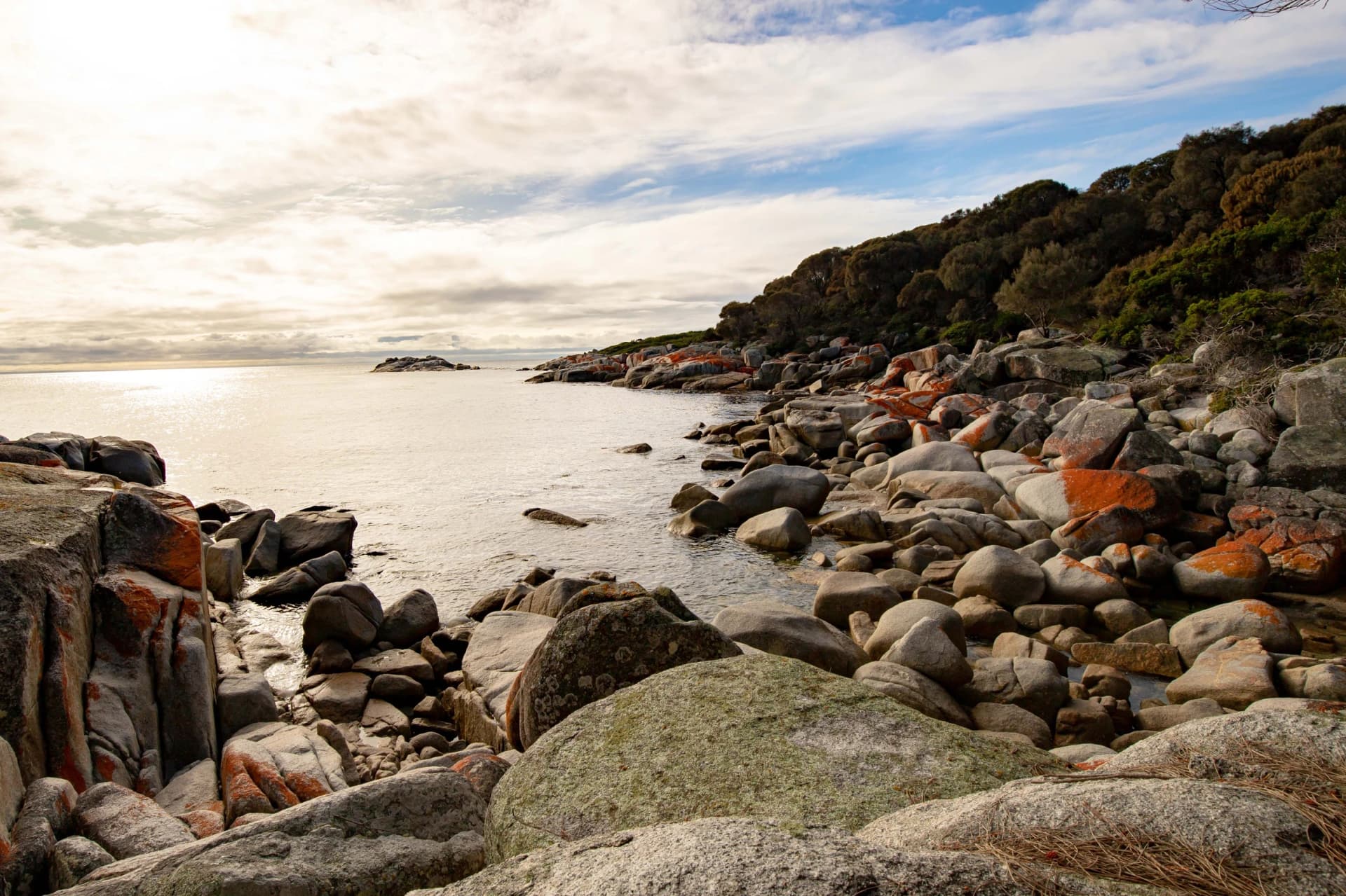 Rocky shore on the walk to Dora Point
