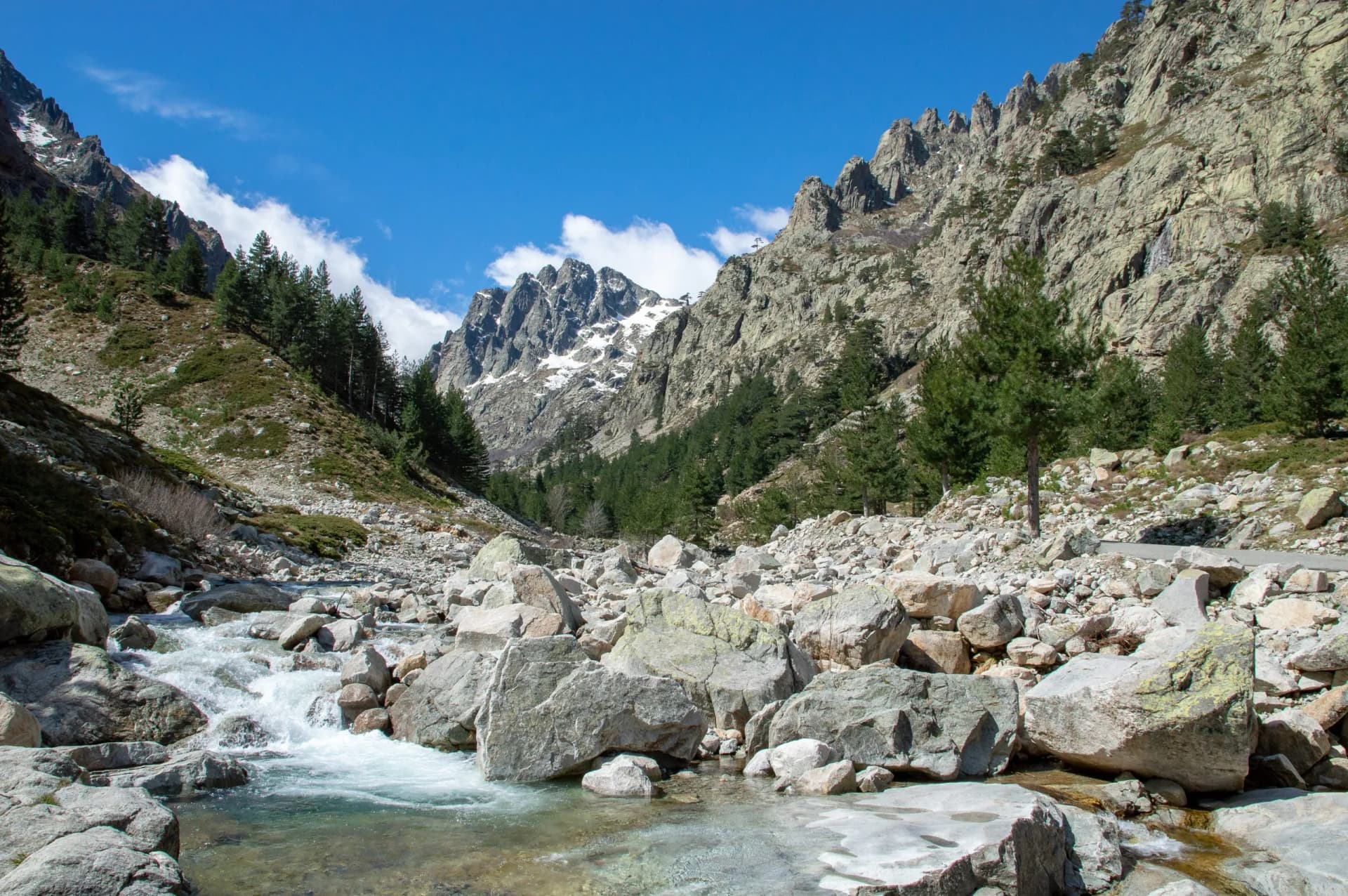 Mountain gorge with rushing stream, pine trees, and snow-capped peaks in Corsica, France.