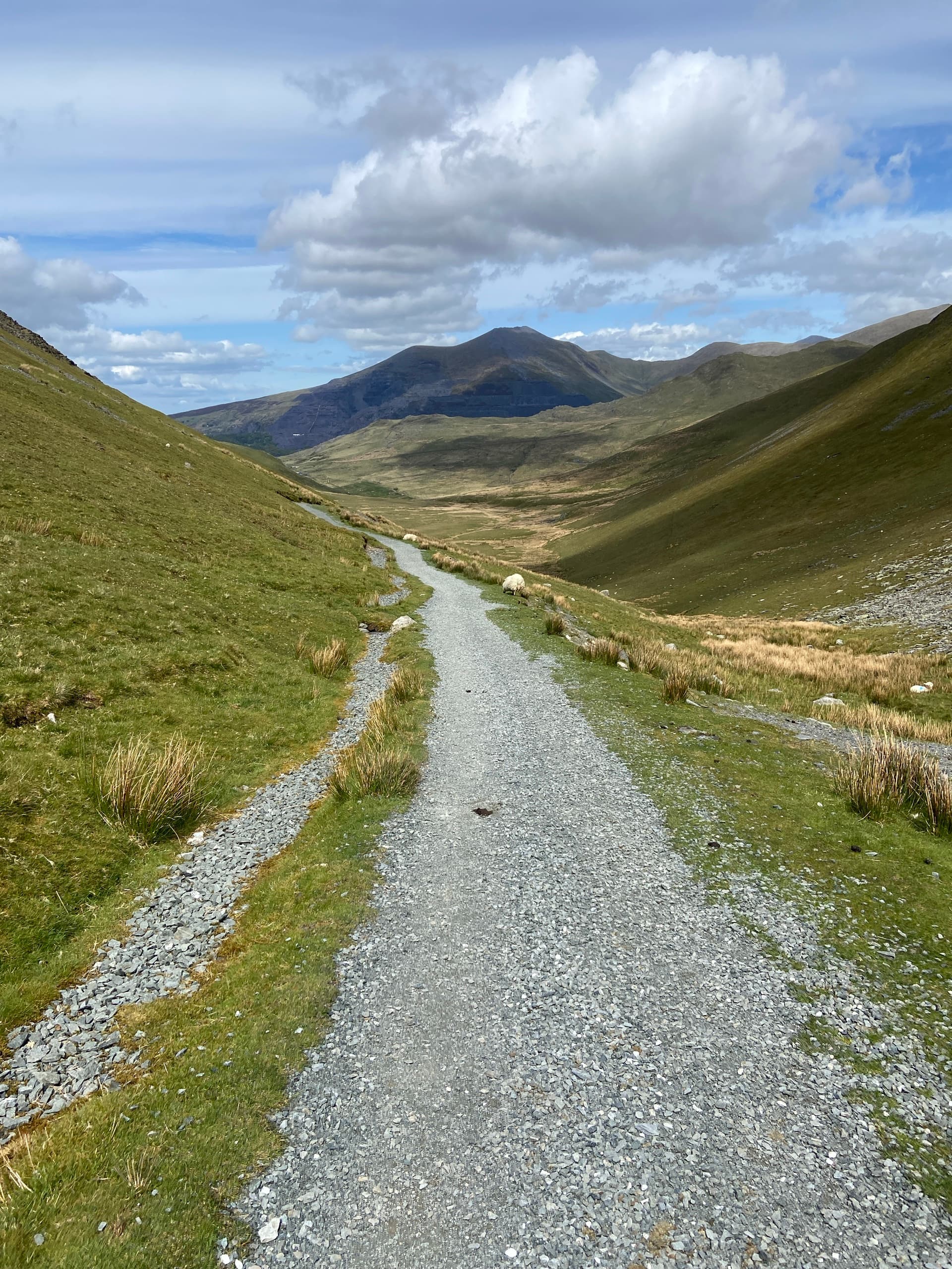Gravel hiking track winding through a long green valley with distant mountains under a cloudy sky