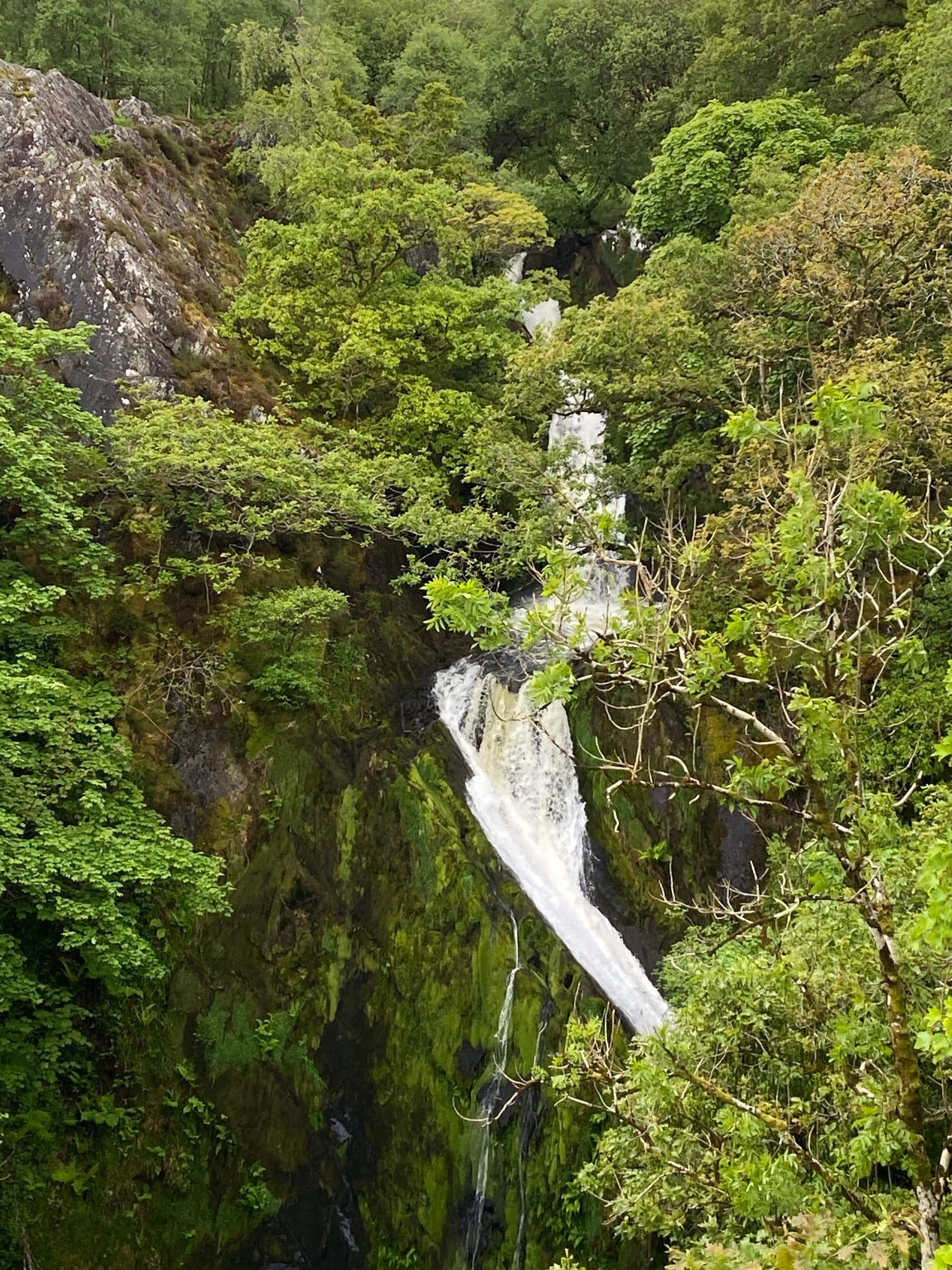 Waterfall flowing through a wooded gorge surrounded by lush green trees and rocky cliffs