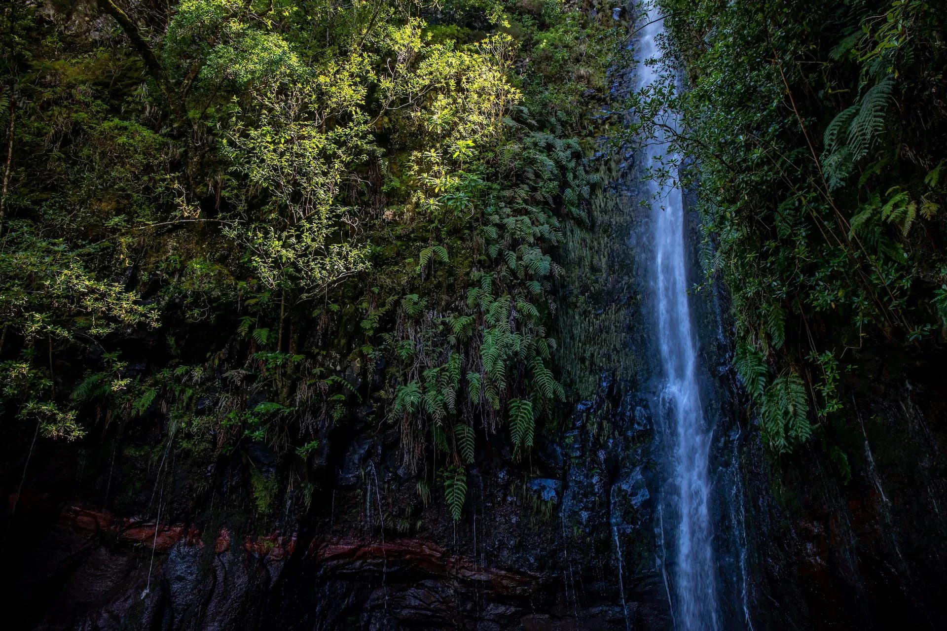 Waterfall cascading down dark, mossy rocks surrounded by lush green foliage in a valley.