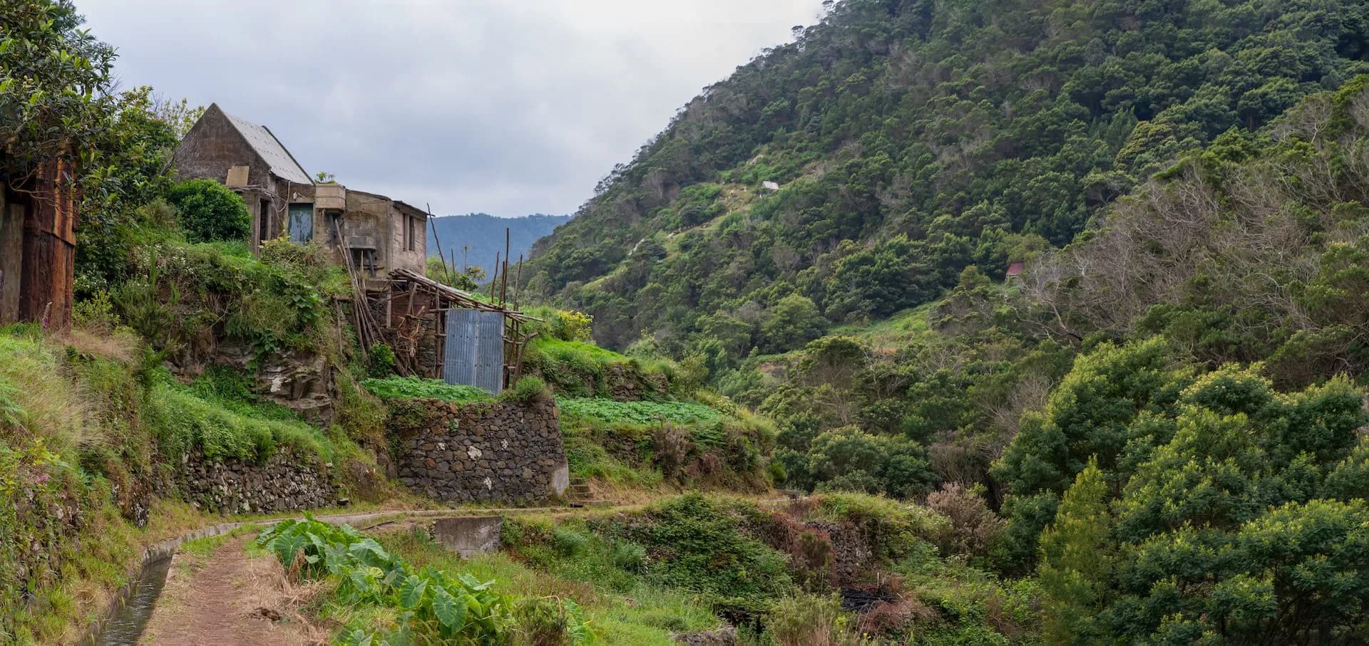 Levada do Caniçal path beside irrigation channel with abandoned house on lush green hillside