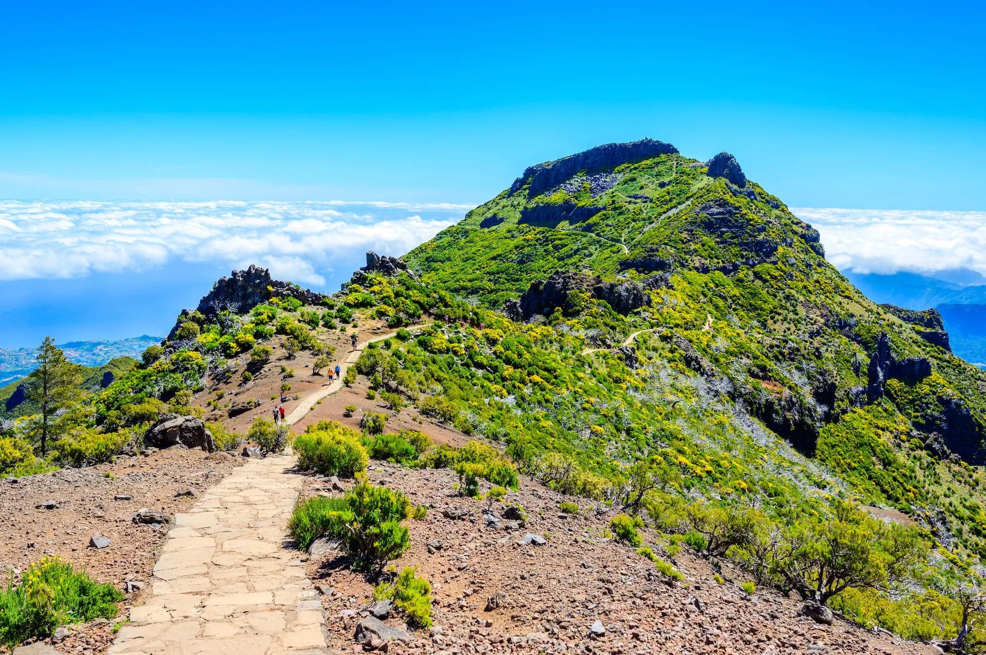 Hikers on stone path ascending lush green mountain above clouds near Achada do Teixeira.
