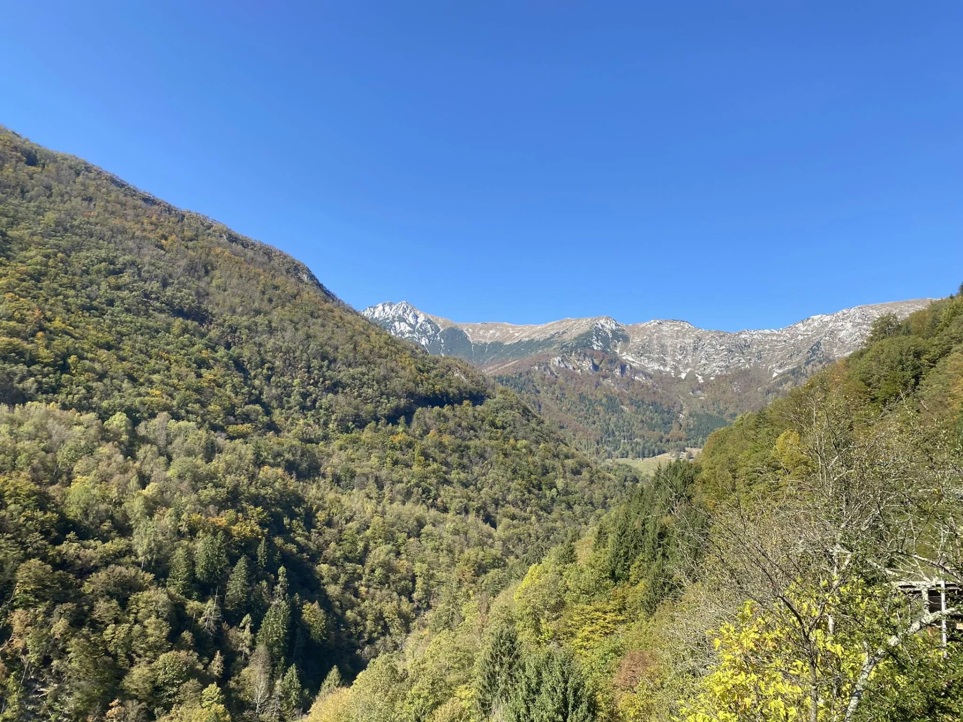 baška grapa