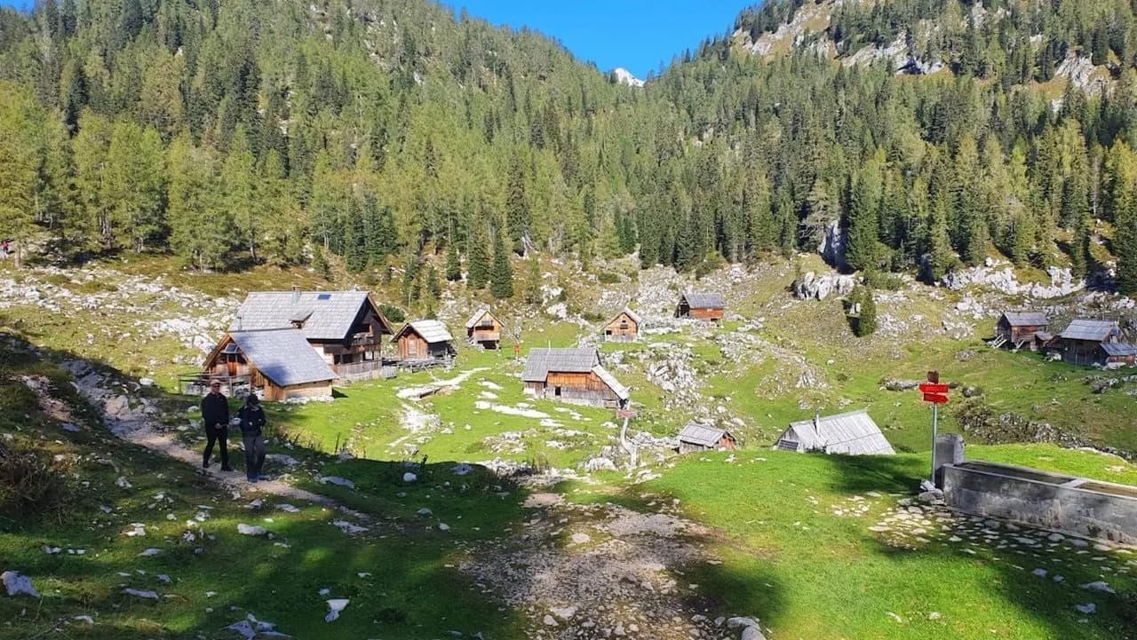 Hikers on path near wooden mountain huts in a green alpine meadow with dense forest.